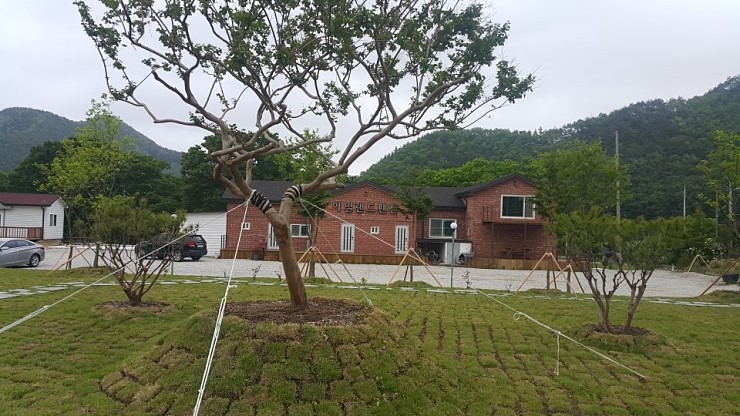 마이산 아일랜드펜션