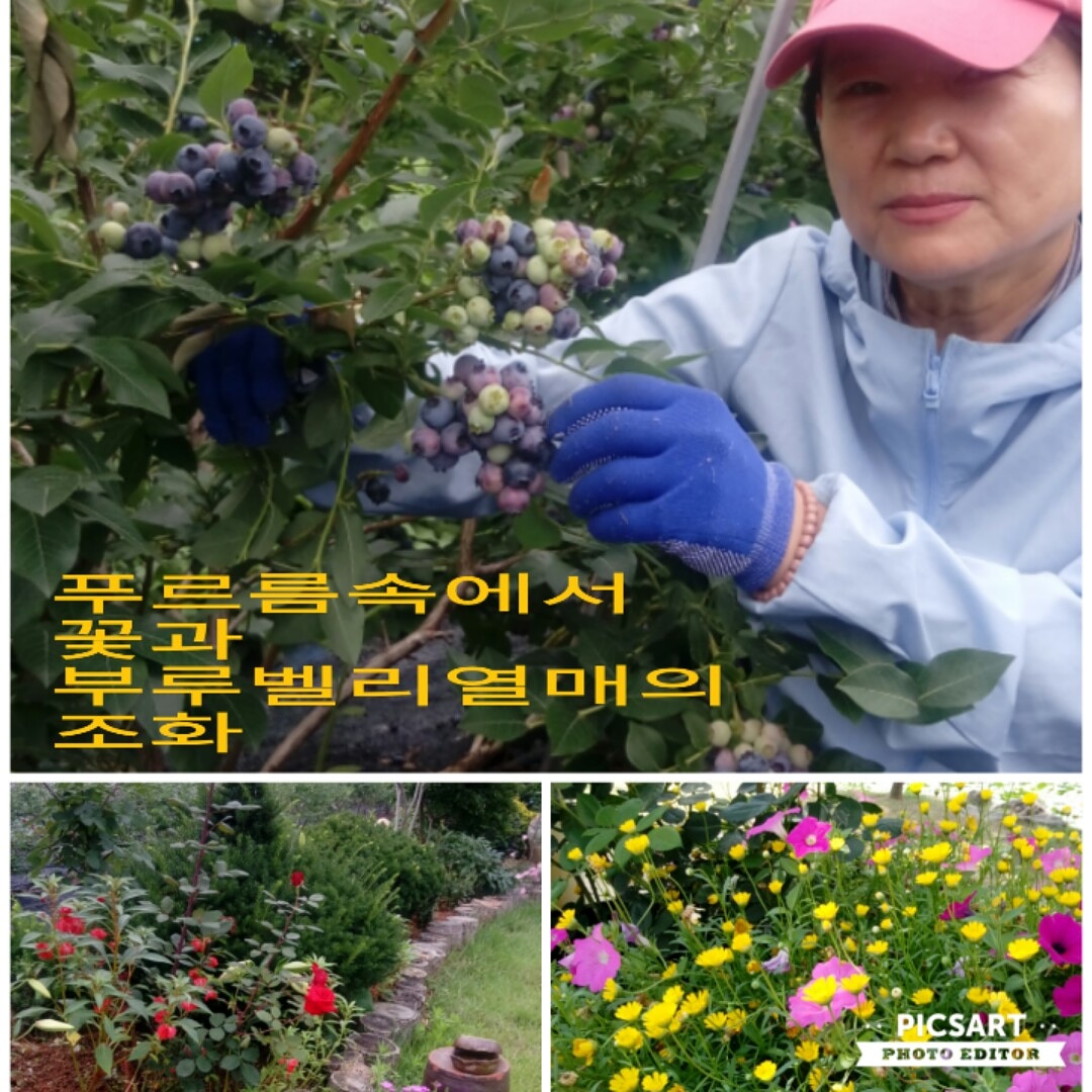 가람농원