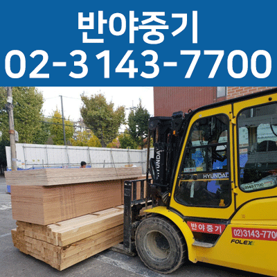 반야중기