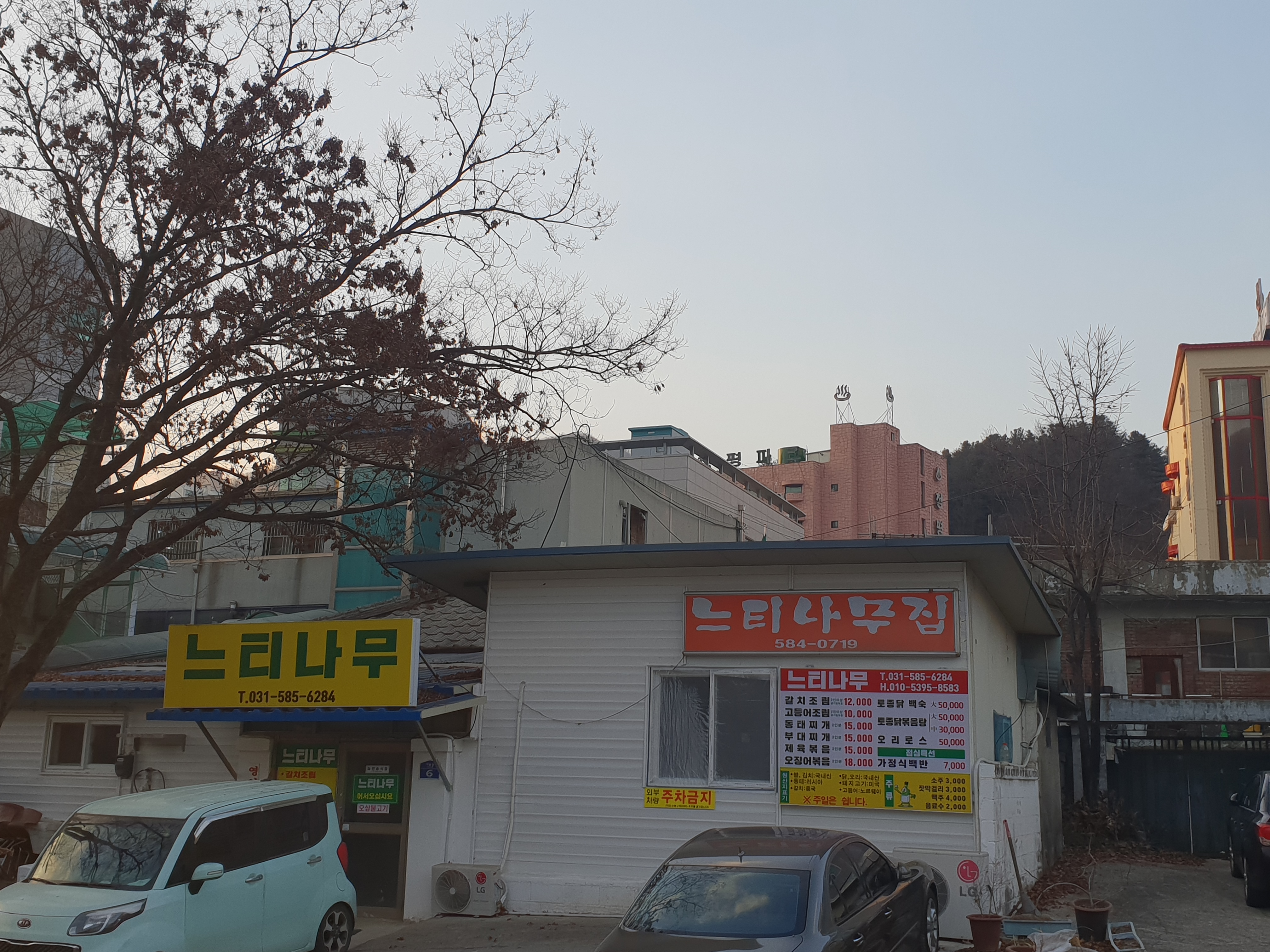 느티나무집