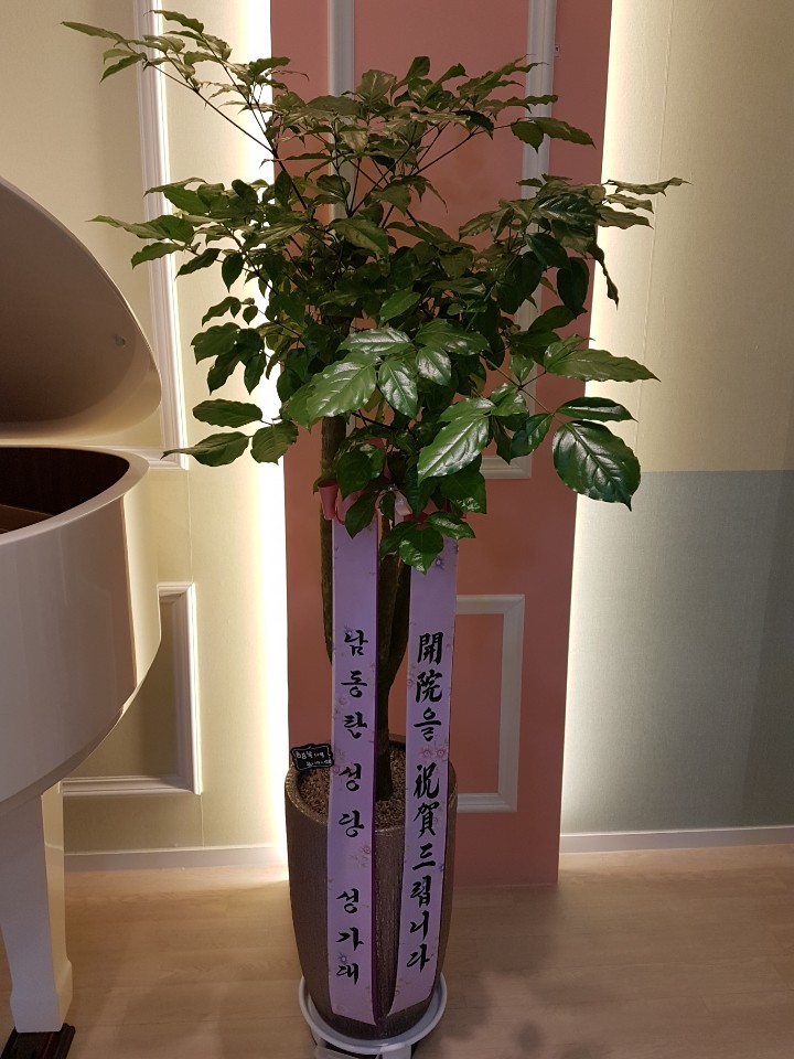 동탄꽃집 동탄산내들화원