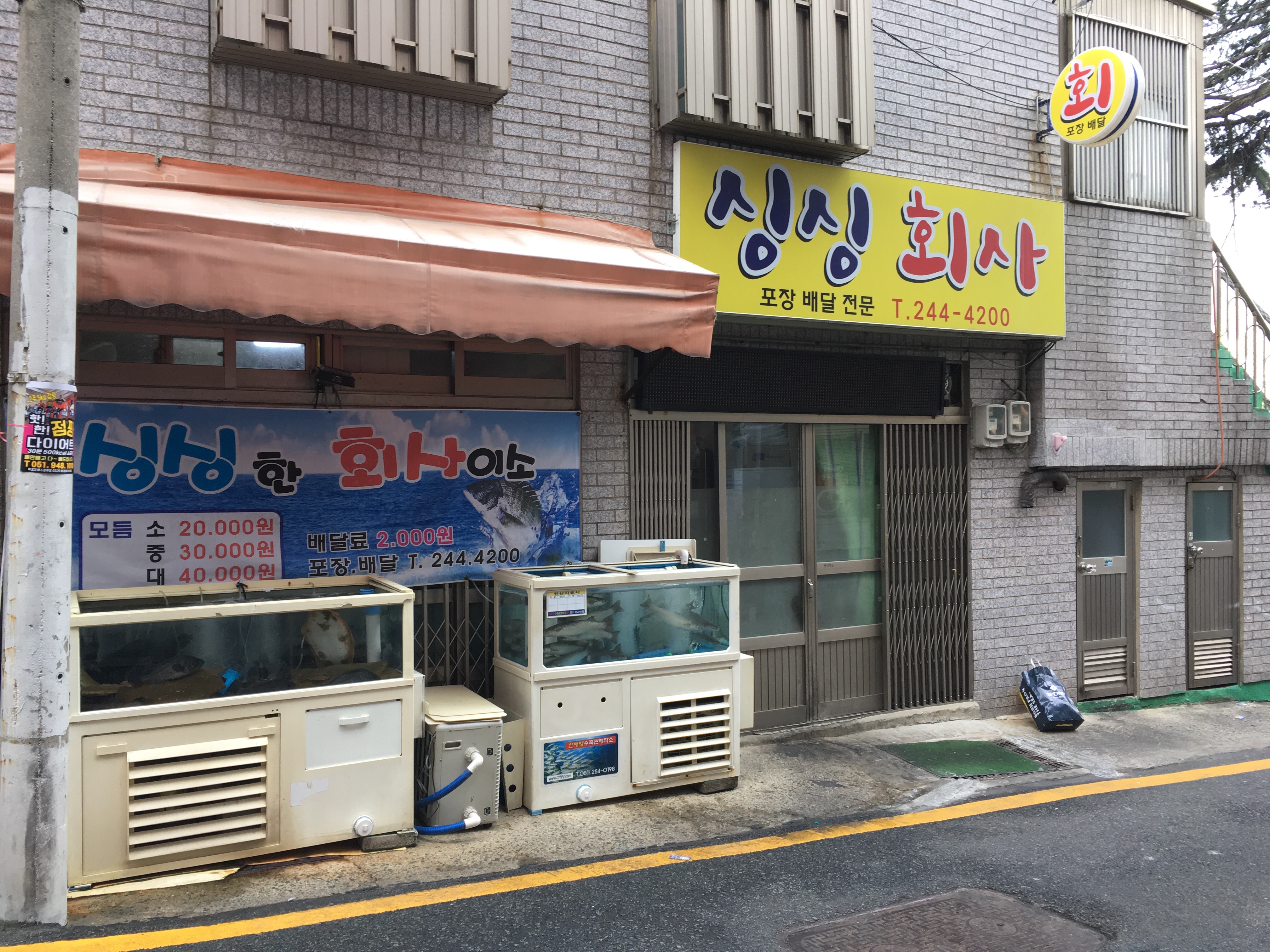 싱싱 회사