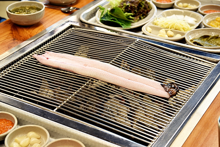장수천한방민물장어 사진 3