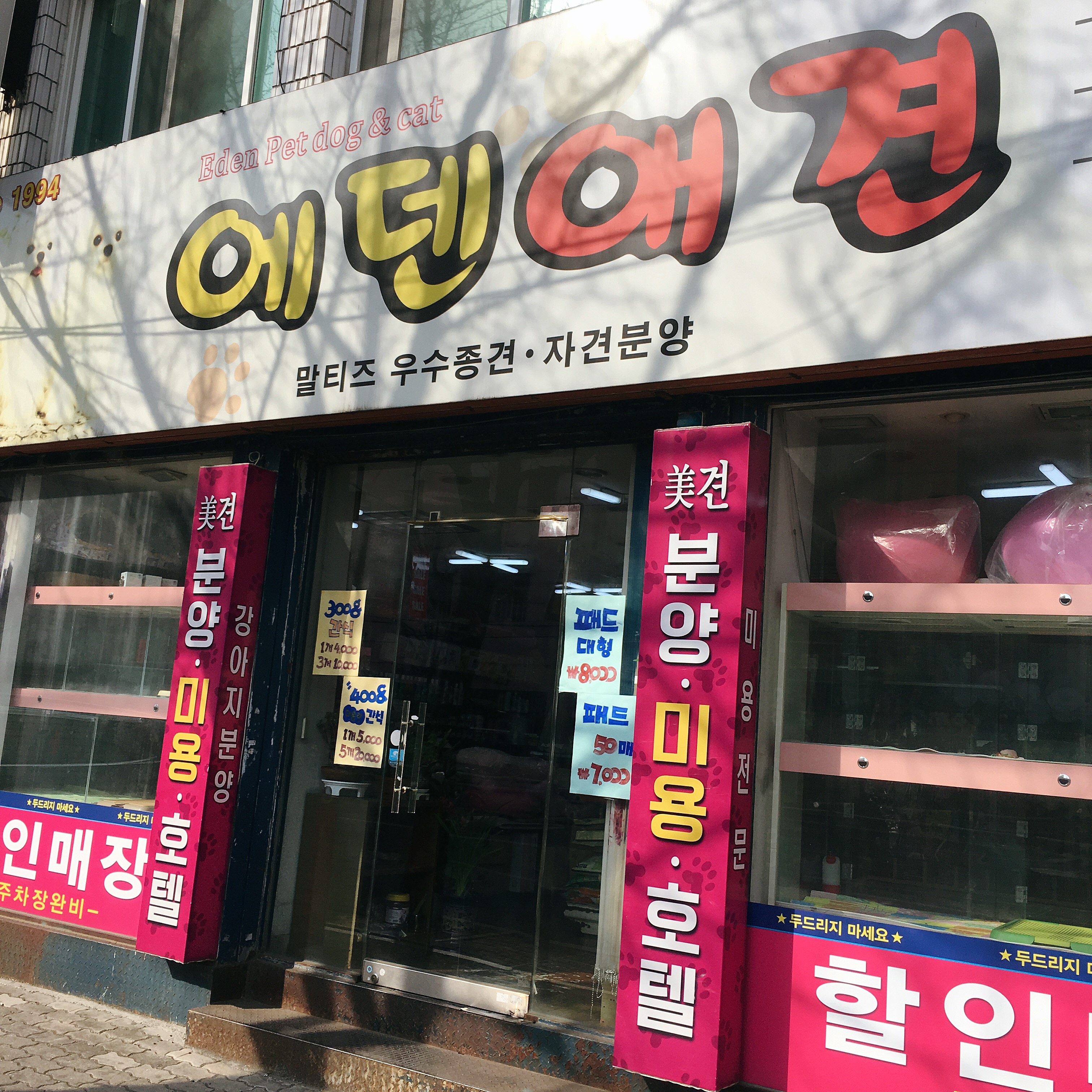 에덴애견