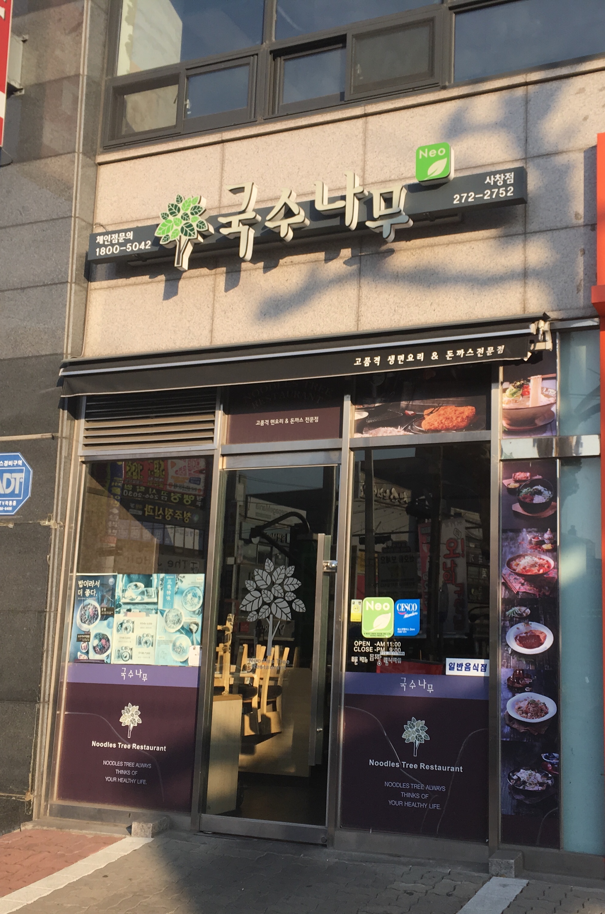 국수나무 청주사창점