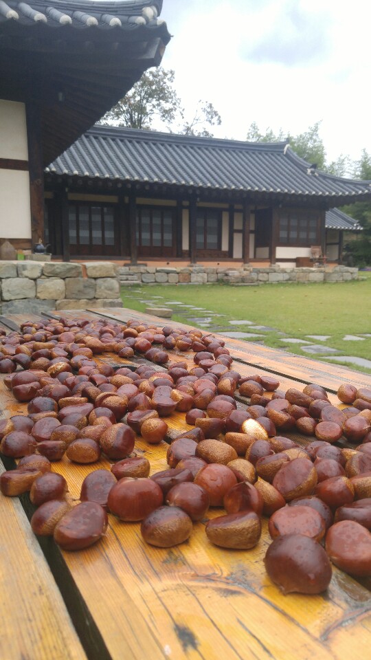 감찰댁사랑뜰