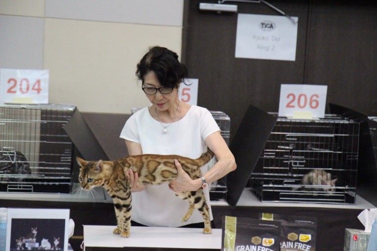 바나바스 대표 이미지