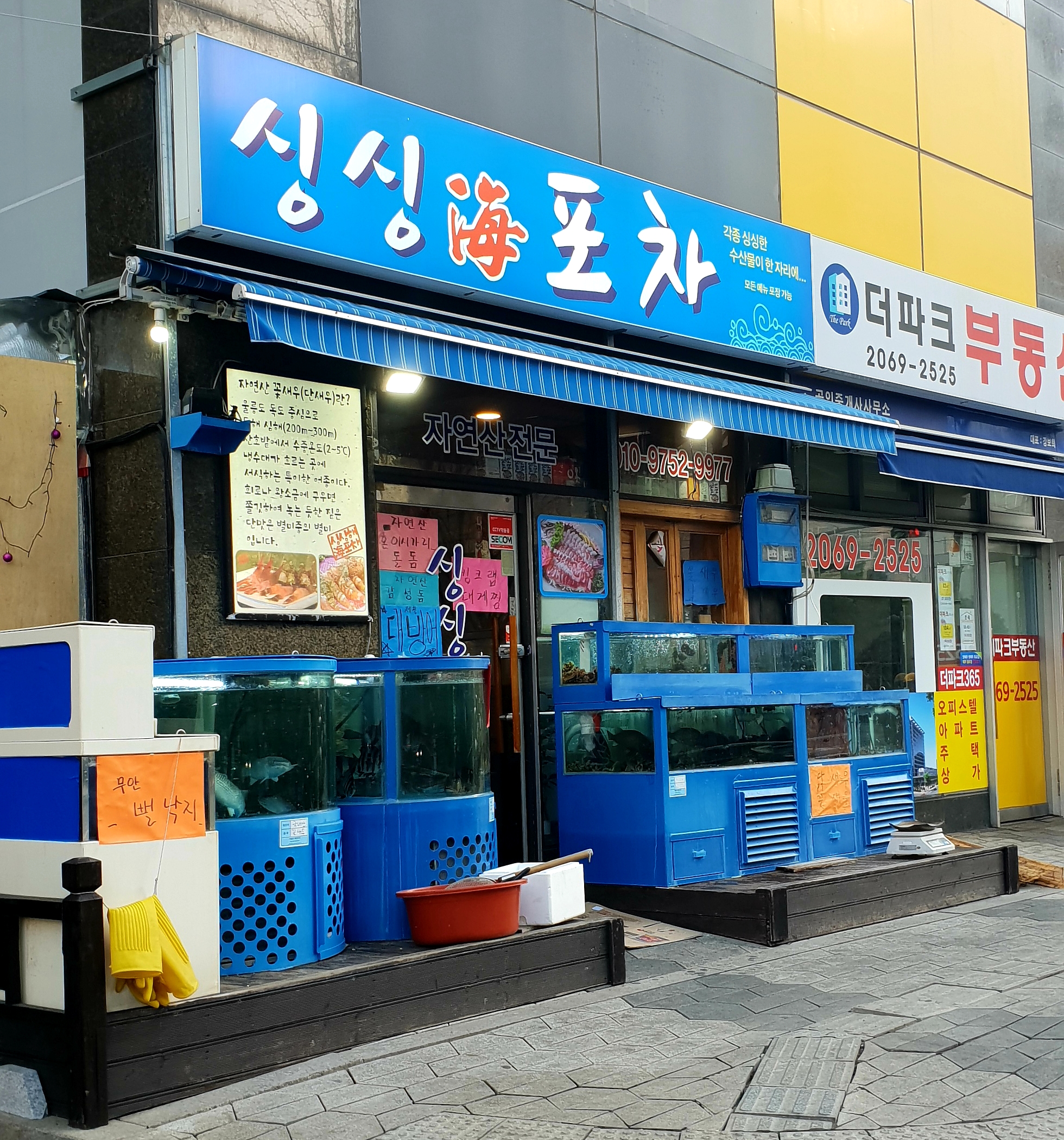 싱싱해포차