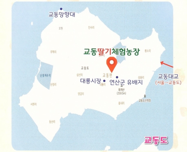 원팜딸기