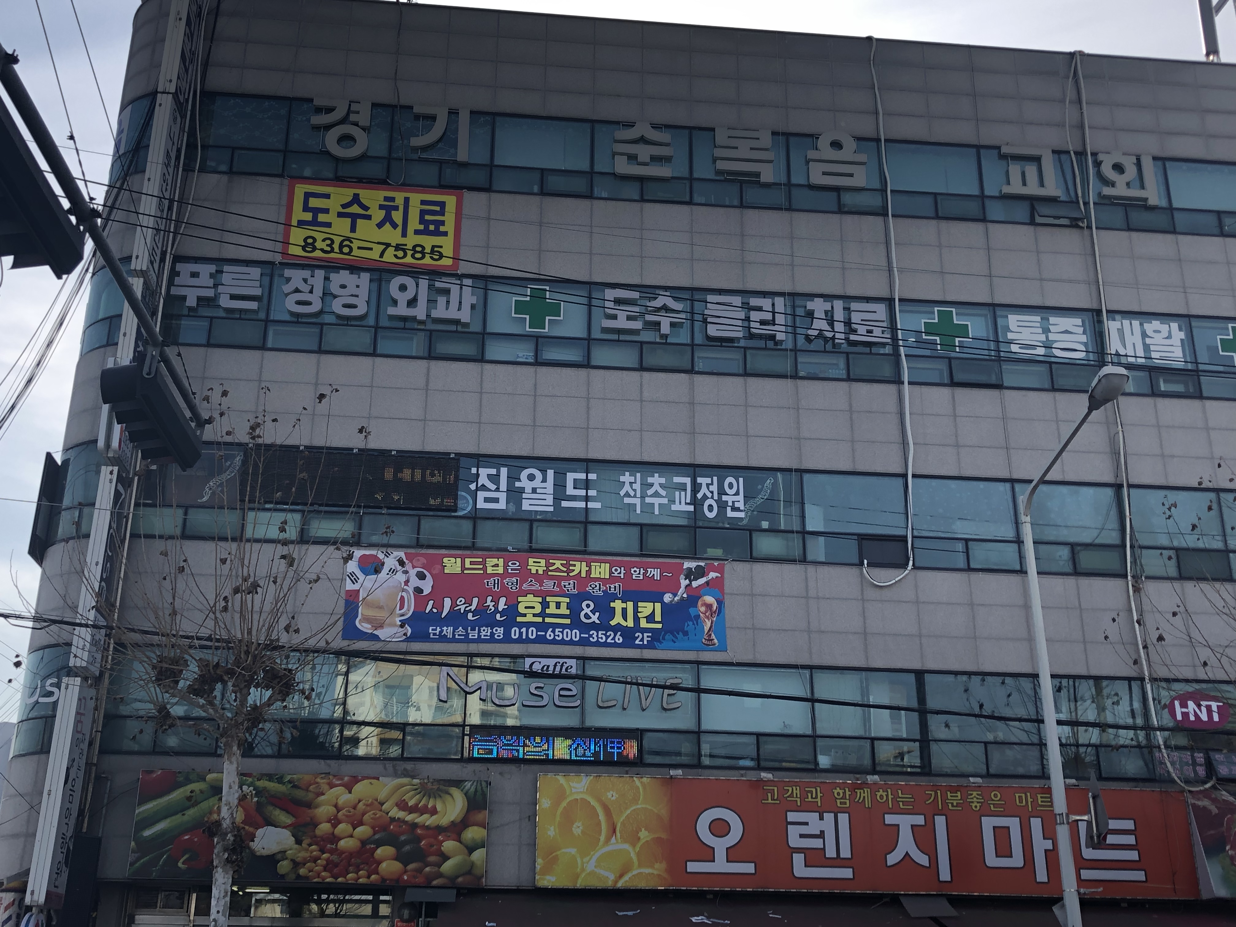 푸른정형외과의원
