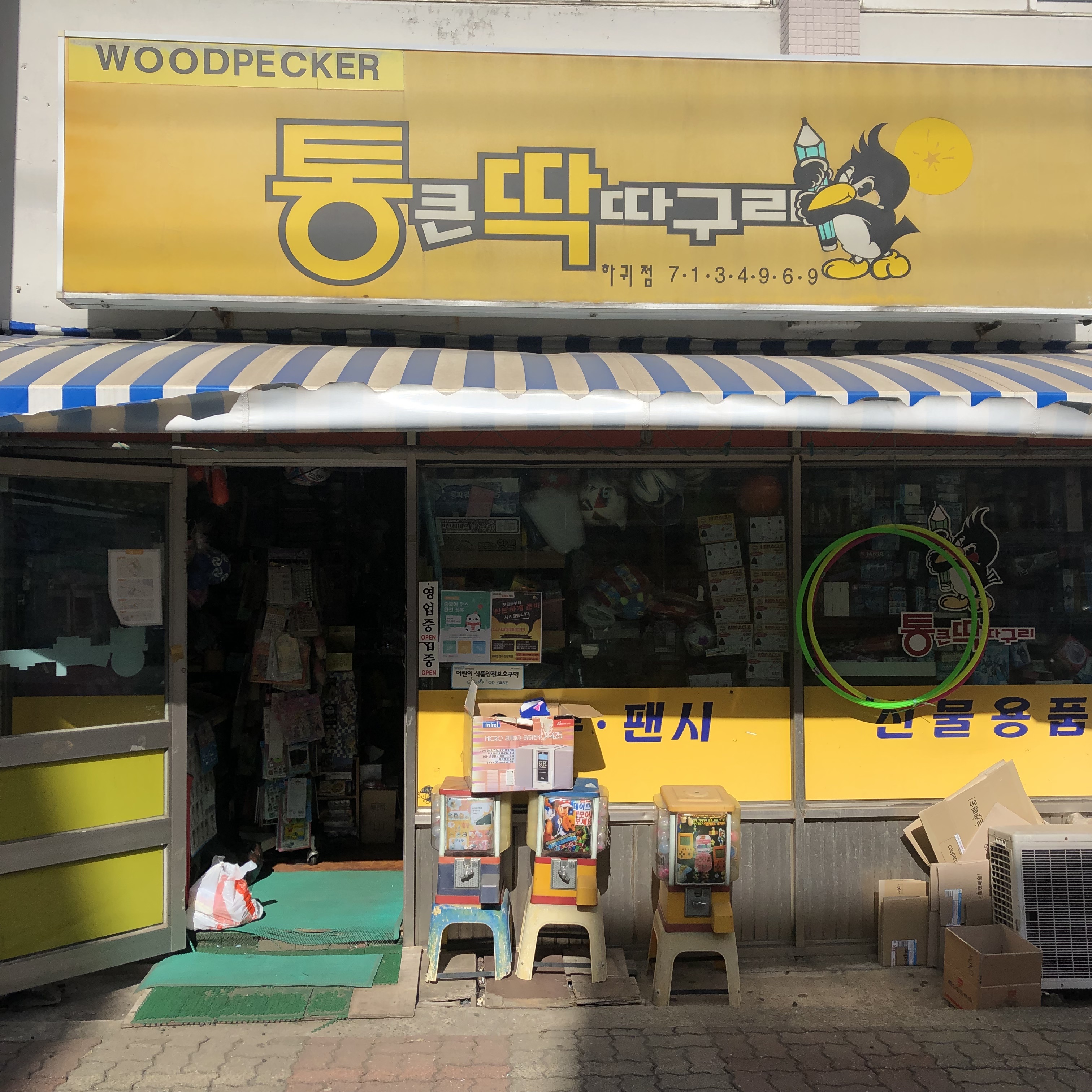 통큰딱따구리