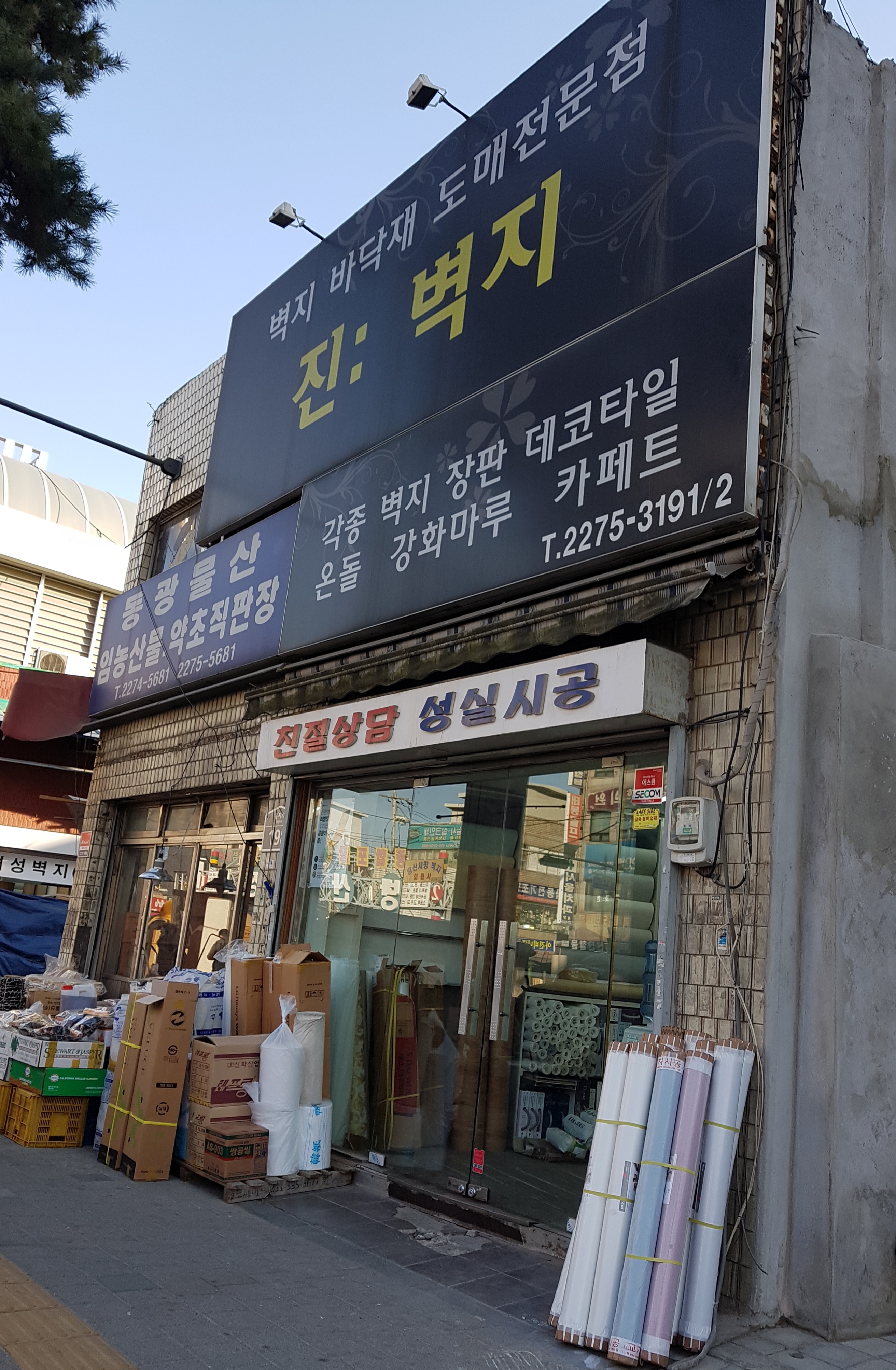 진벽지 대표 이미지