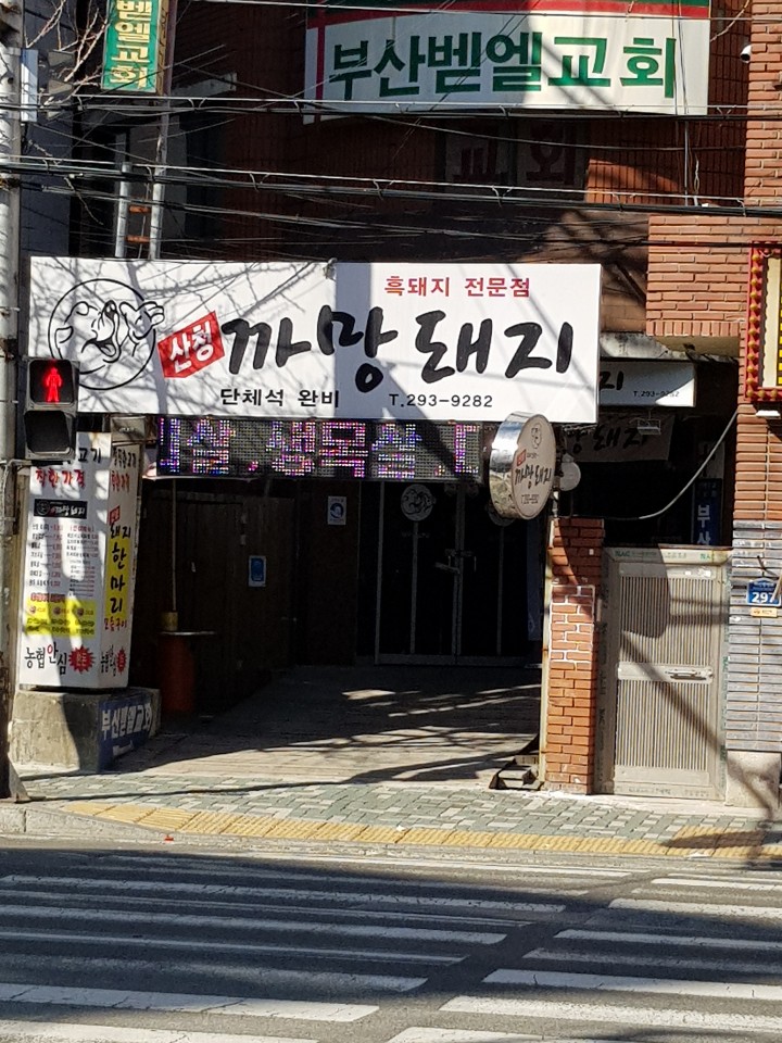 산청까망돼지