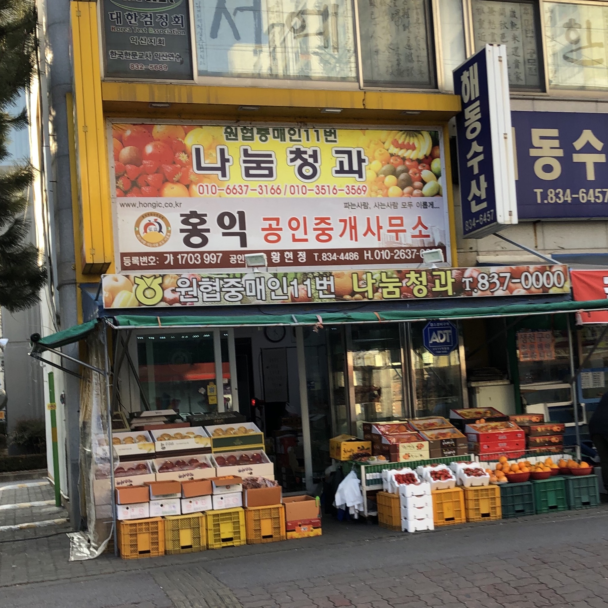 나눔청과