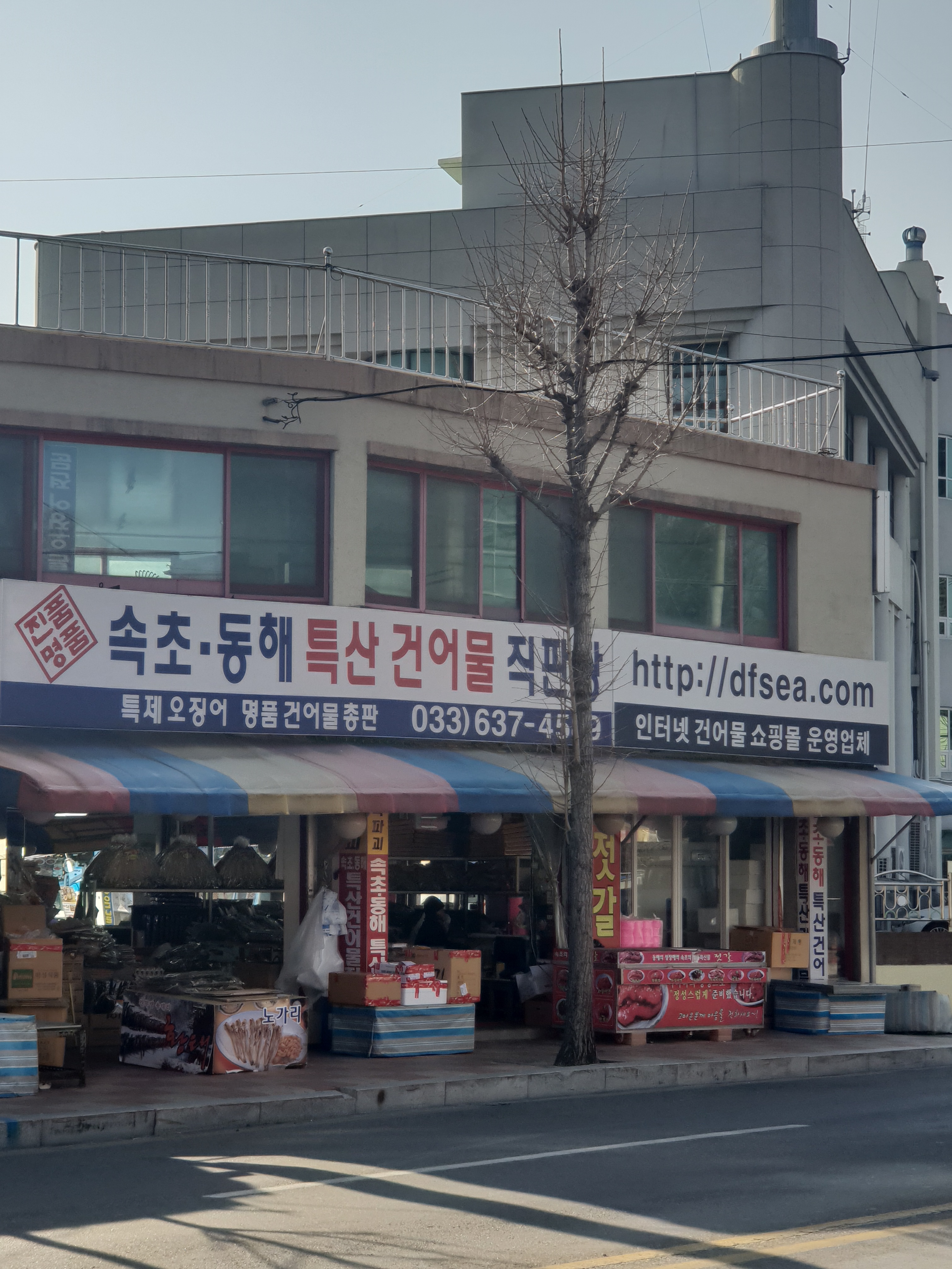 속초동해특산건어물