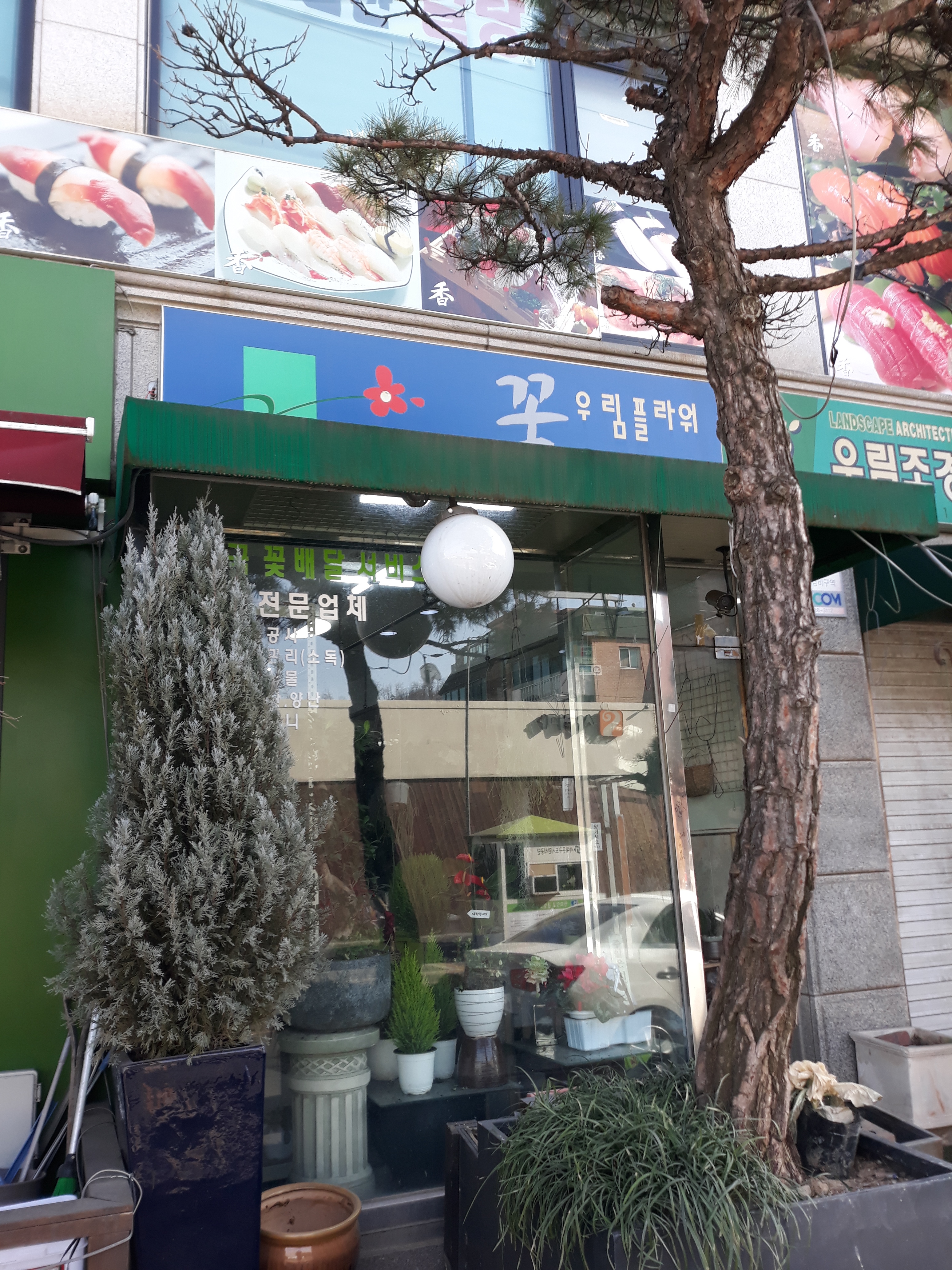 우림플라워