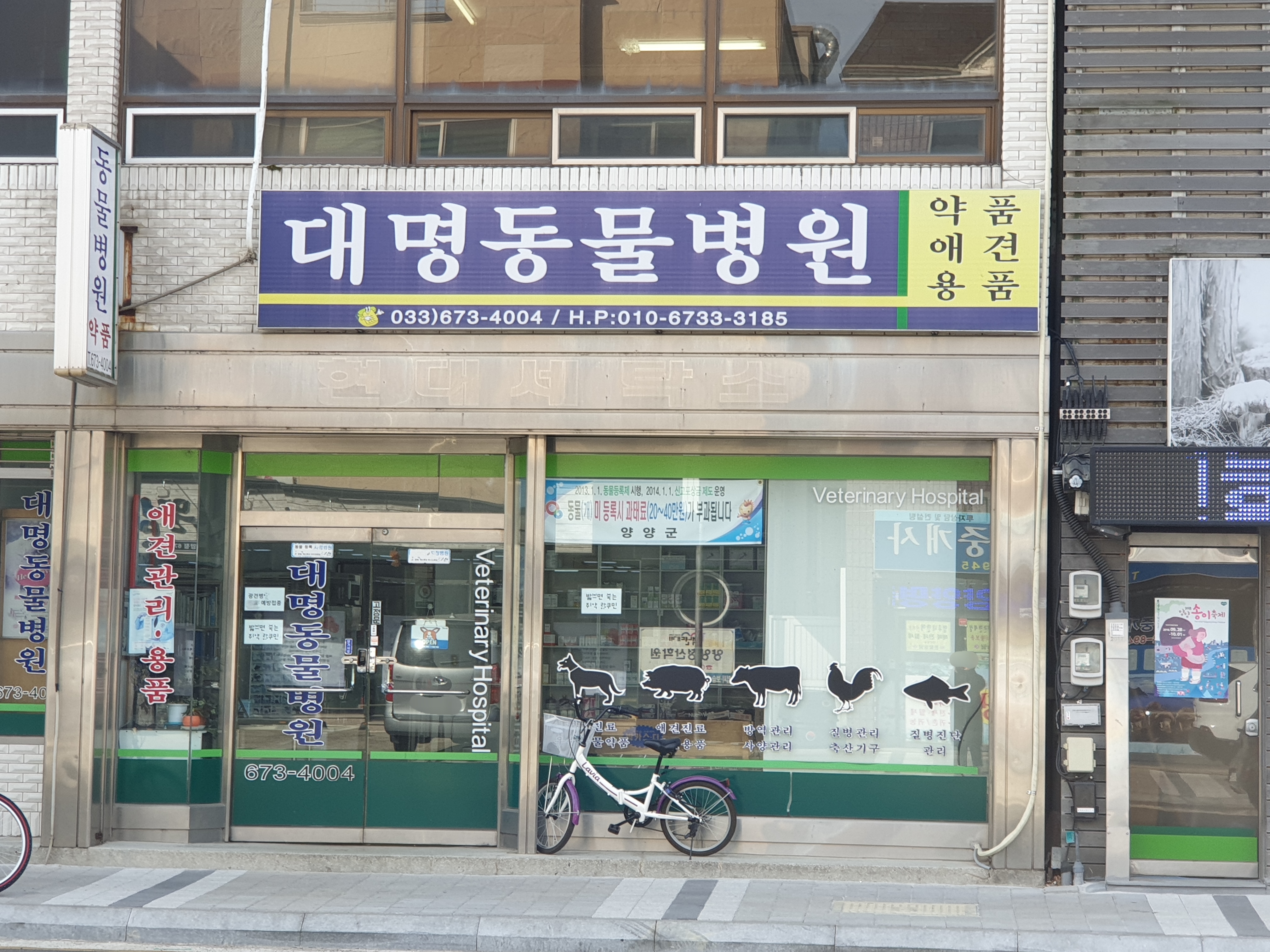 대명동물병원