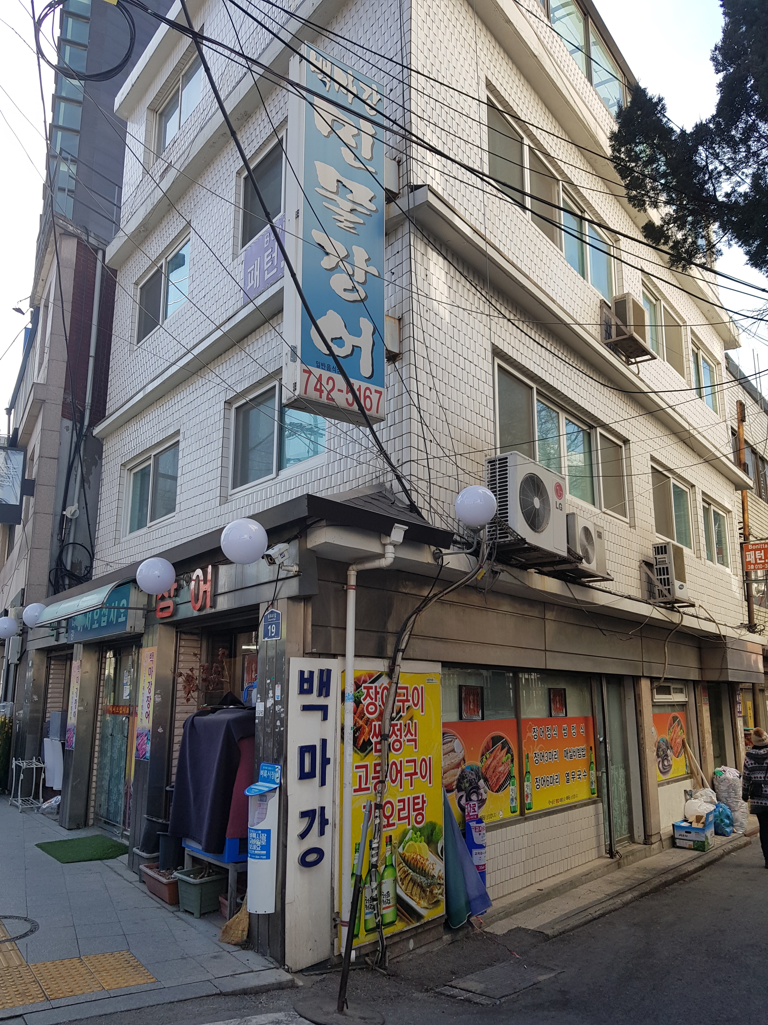 백마강민물장어