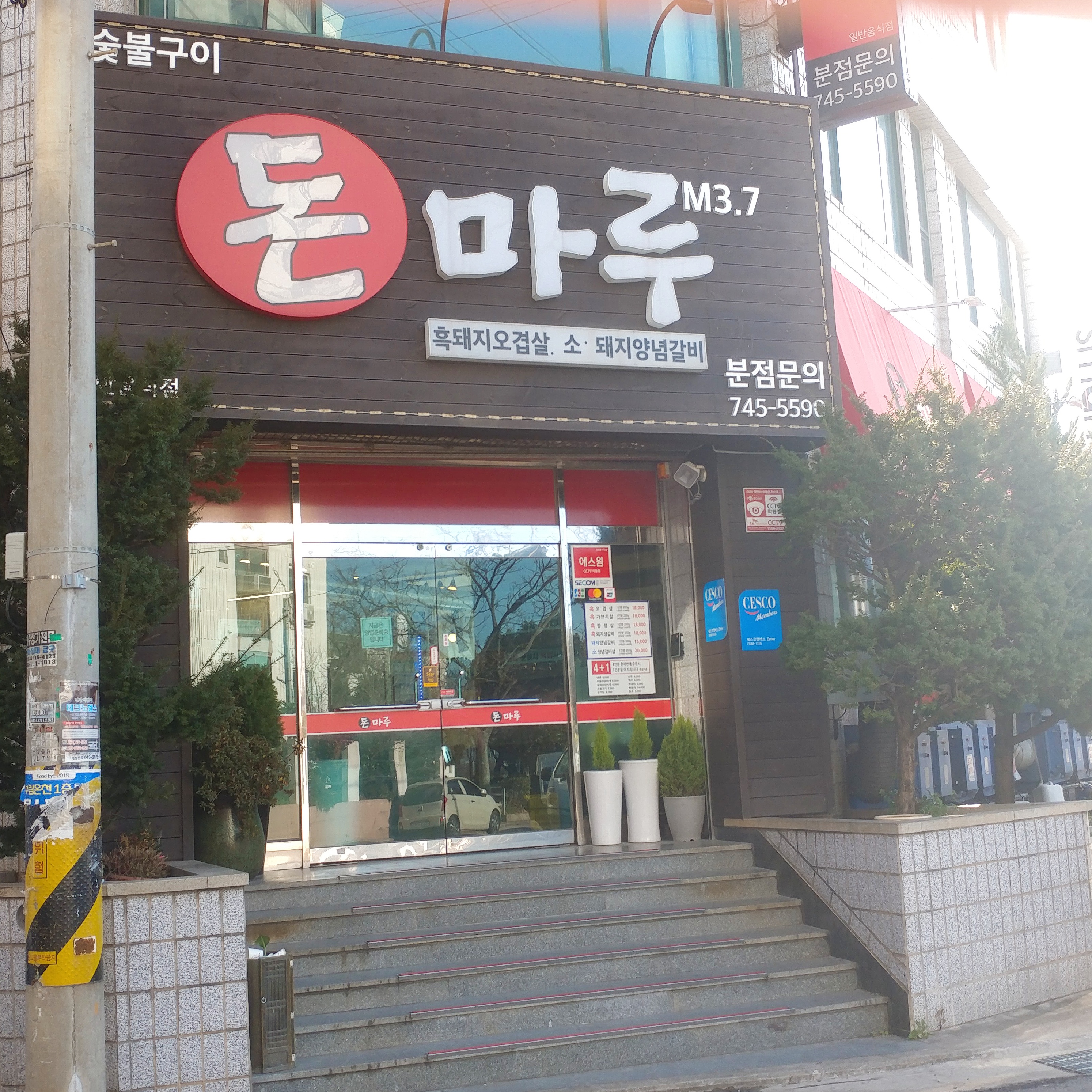 돈마루