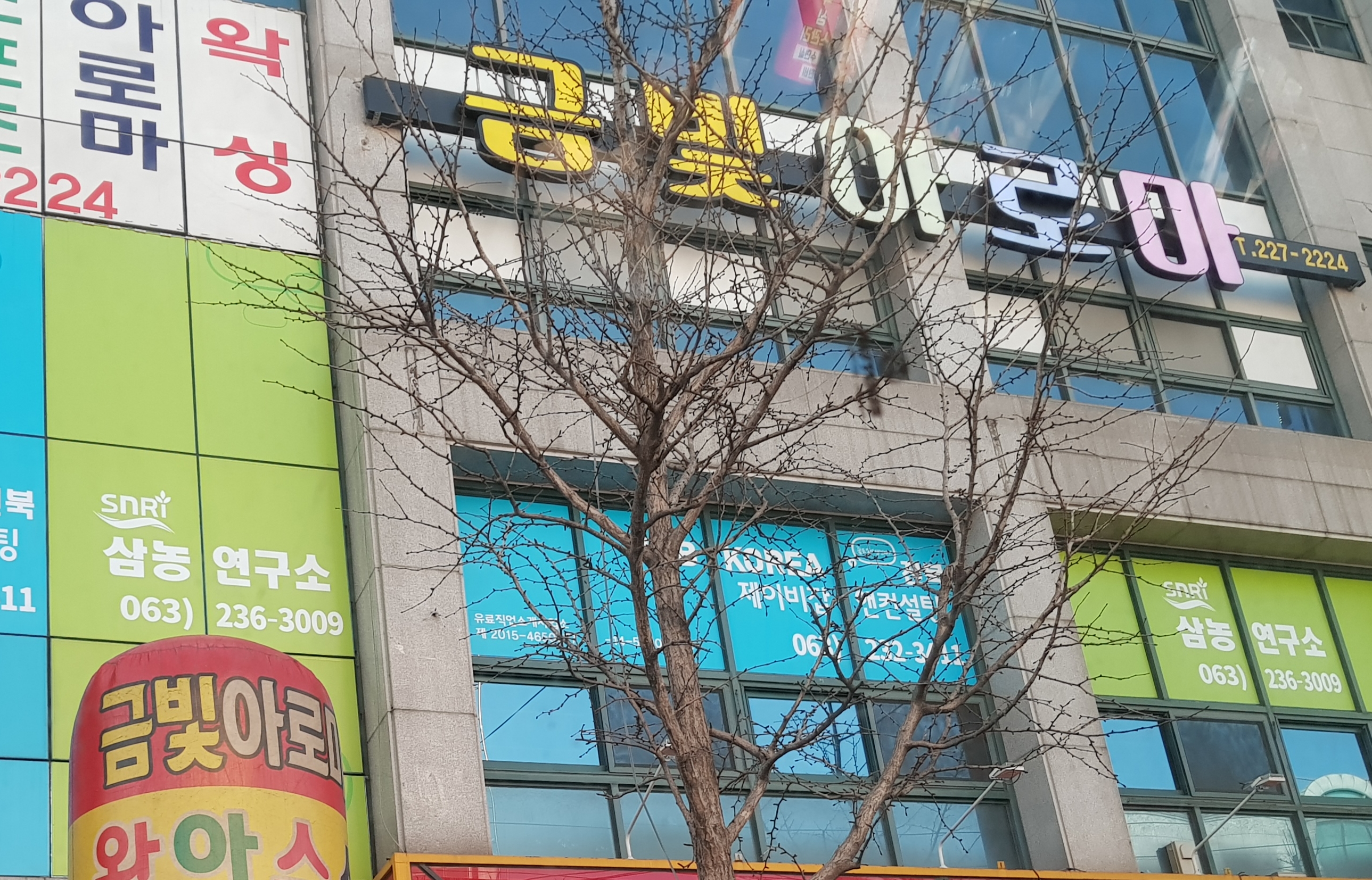 금빛아로마