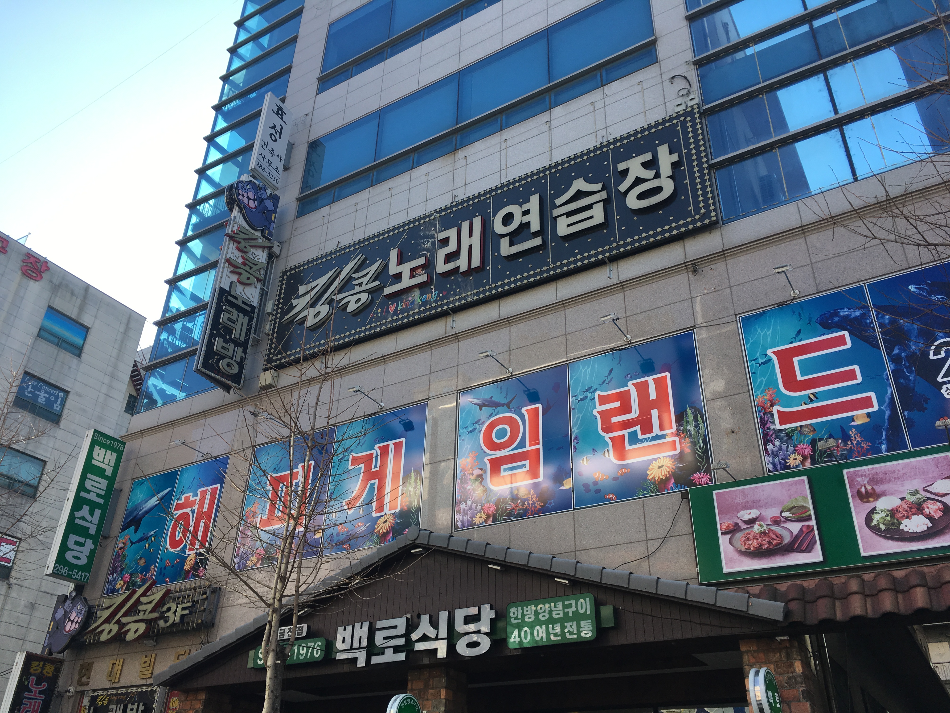 킹콩코인노래연습장