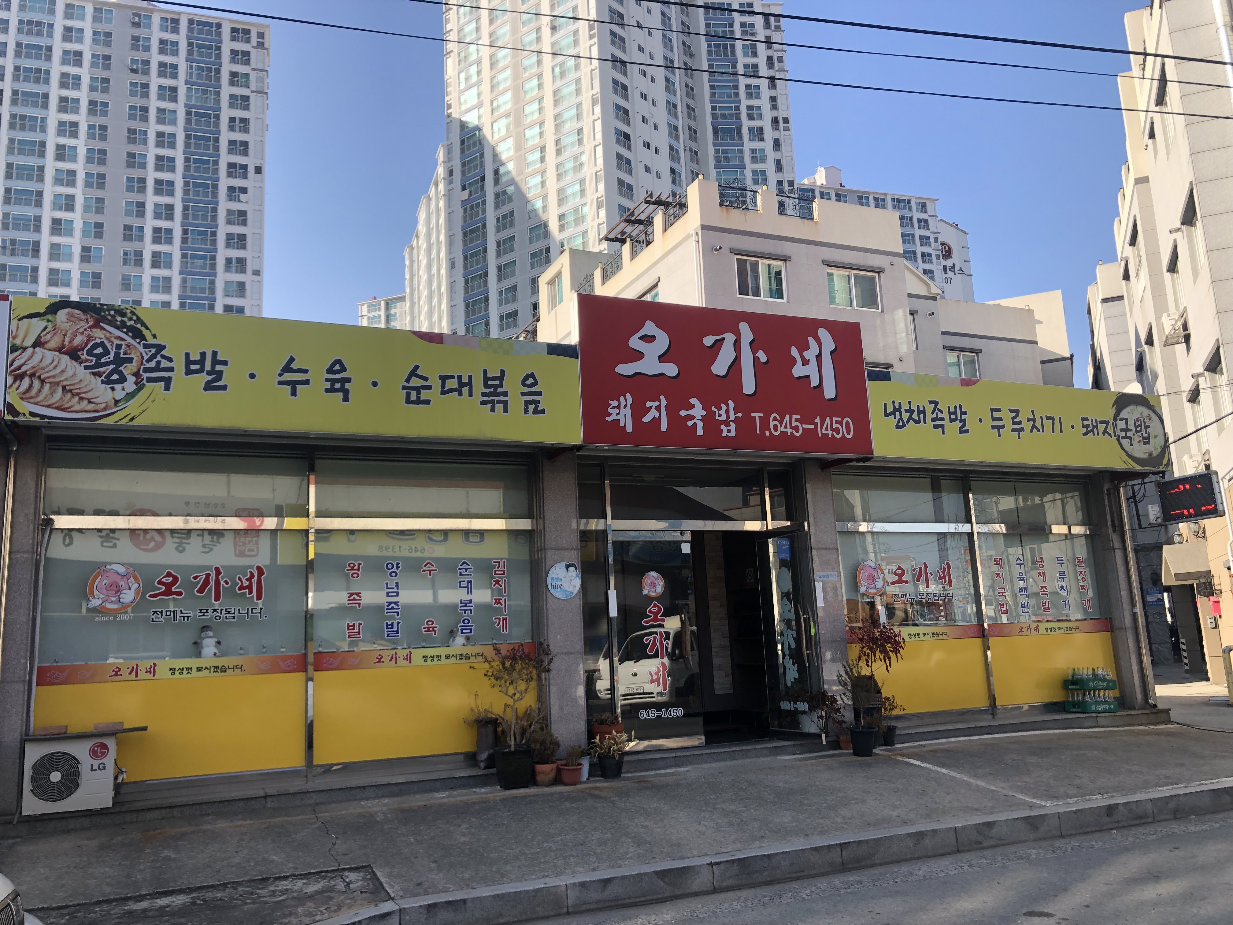 오가네