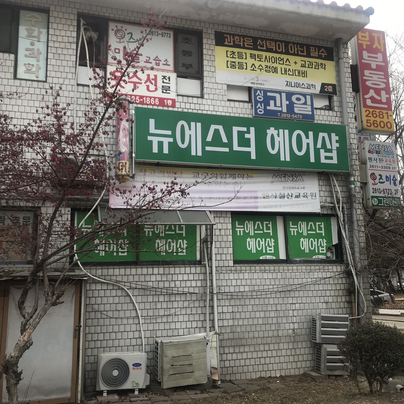 뉴에스더헤어샵