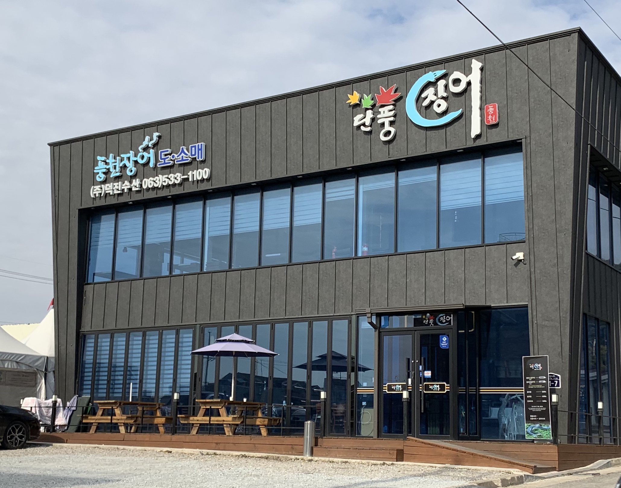 단풍장어