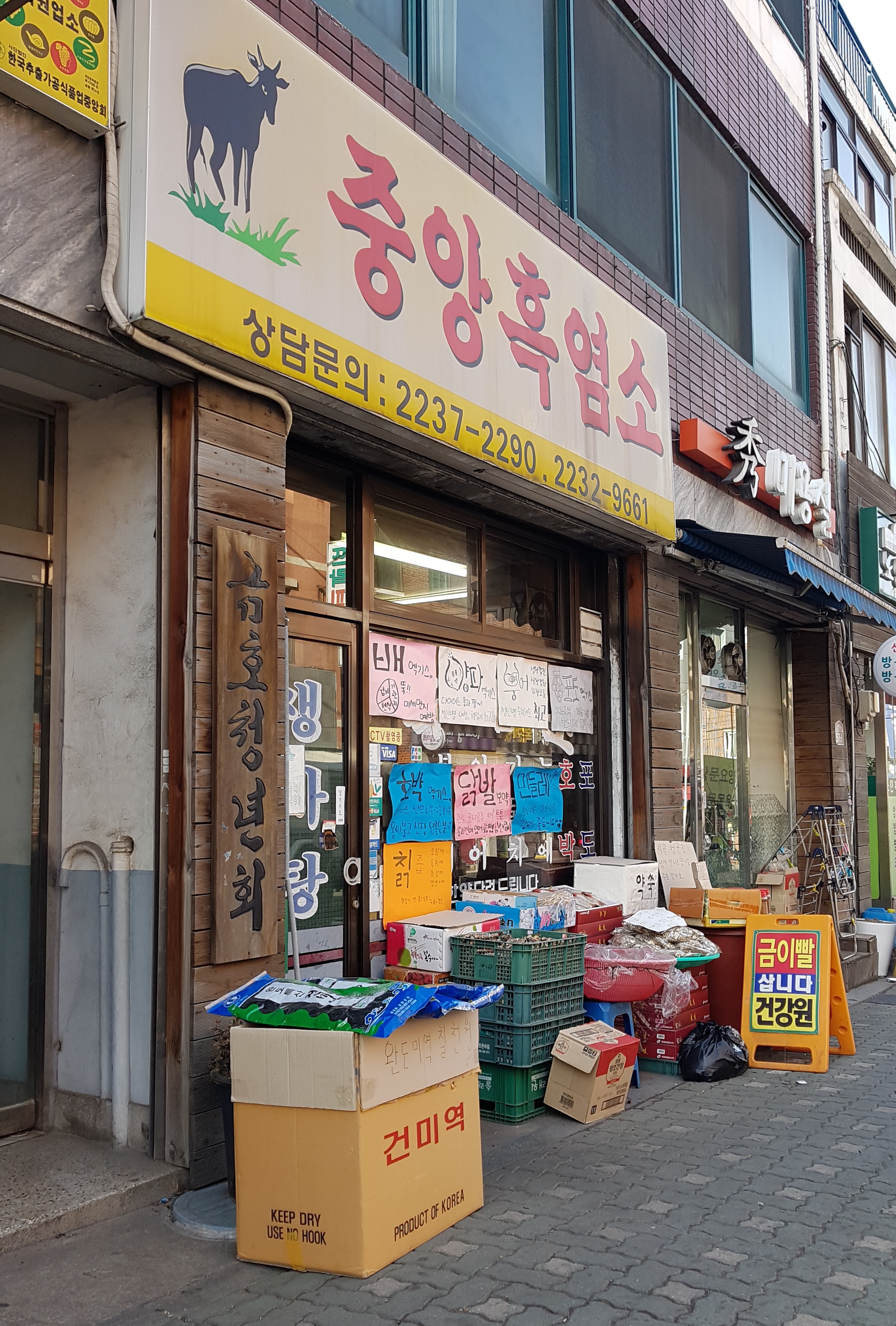 중앙흑염소
