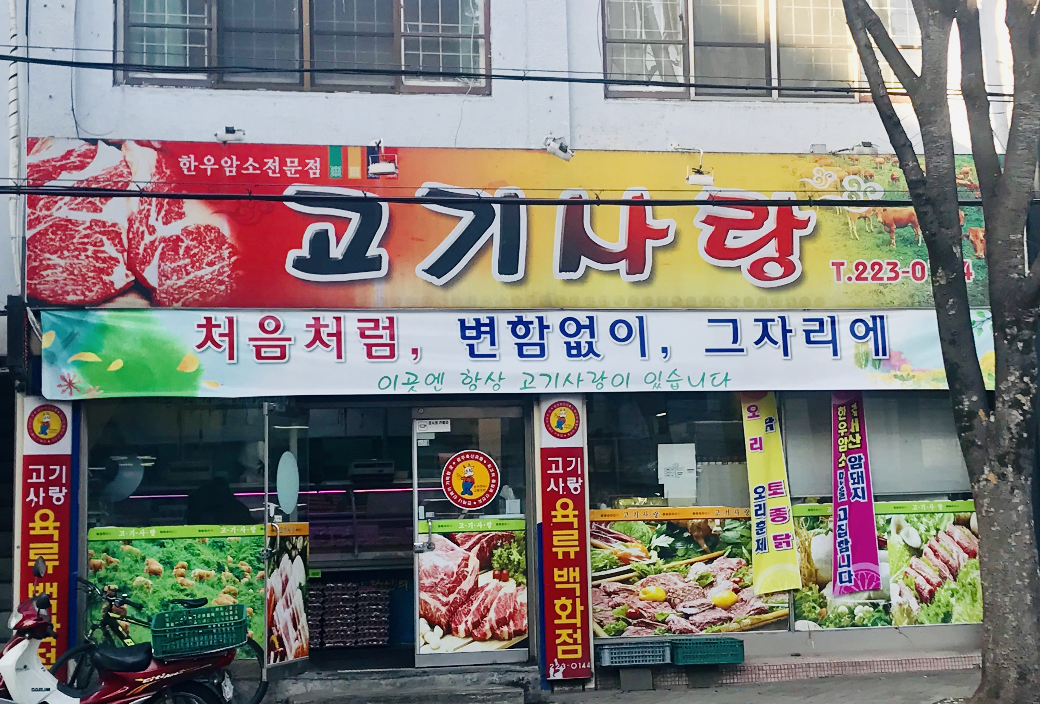 고기사랑