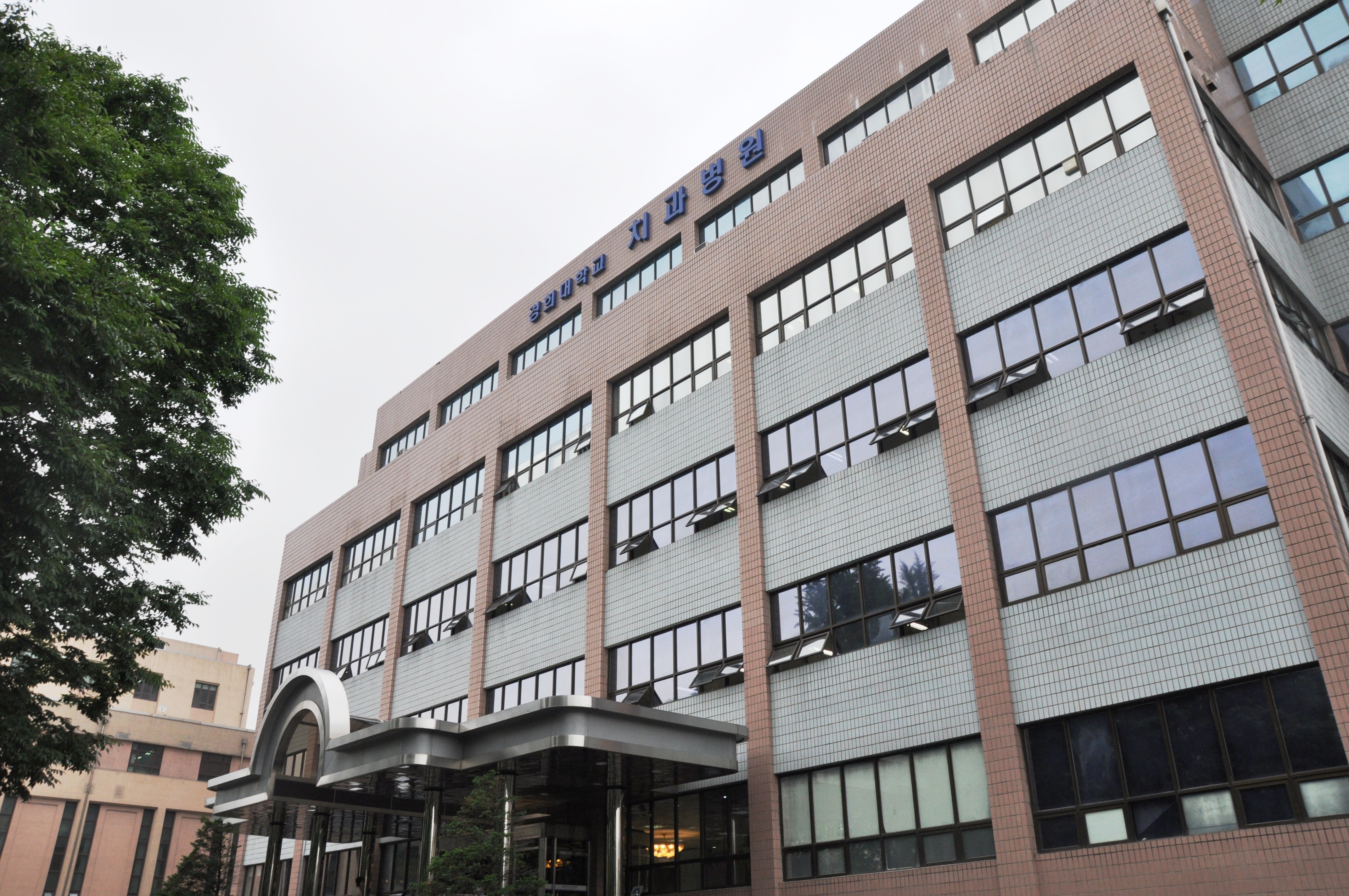 경희대학교치과병원 대표 이미지