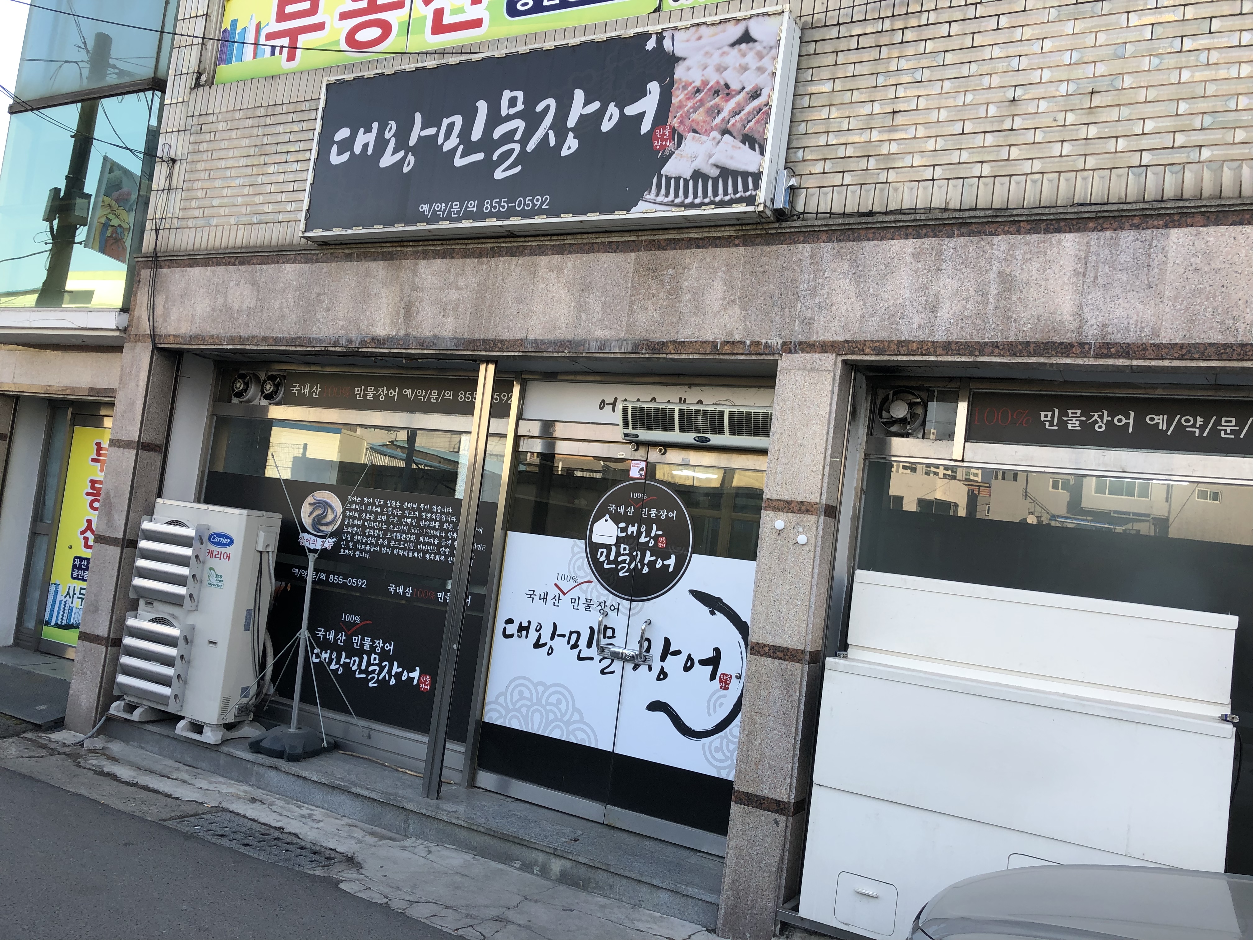 대왕민물장어