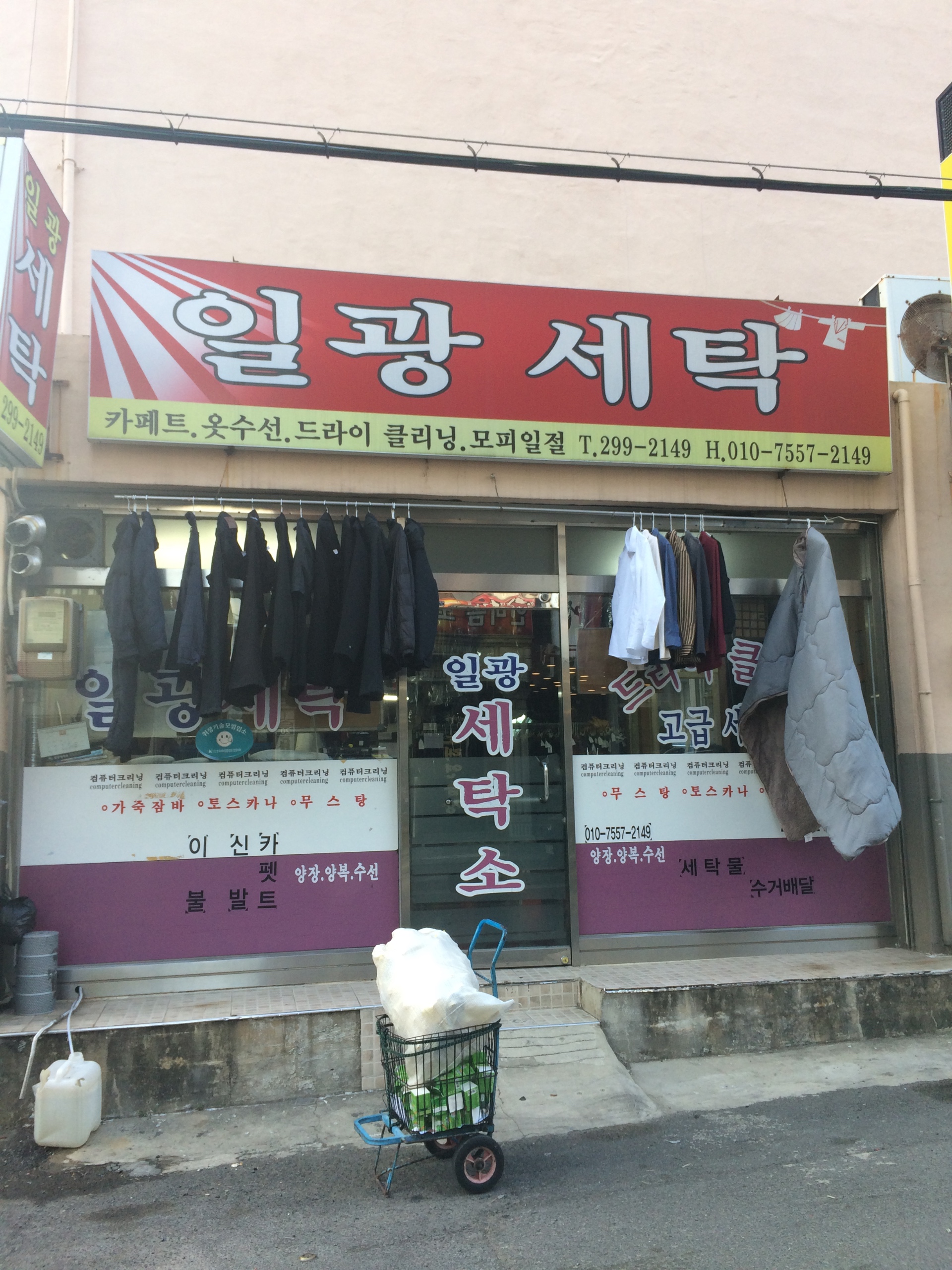 일광세탁