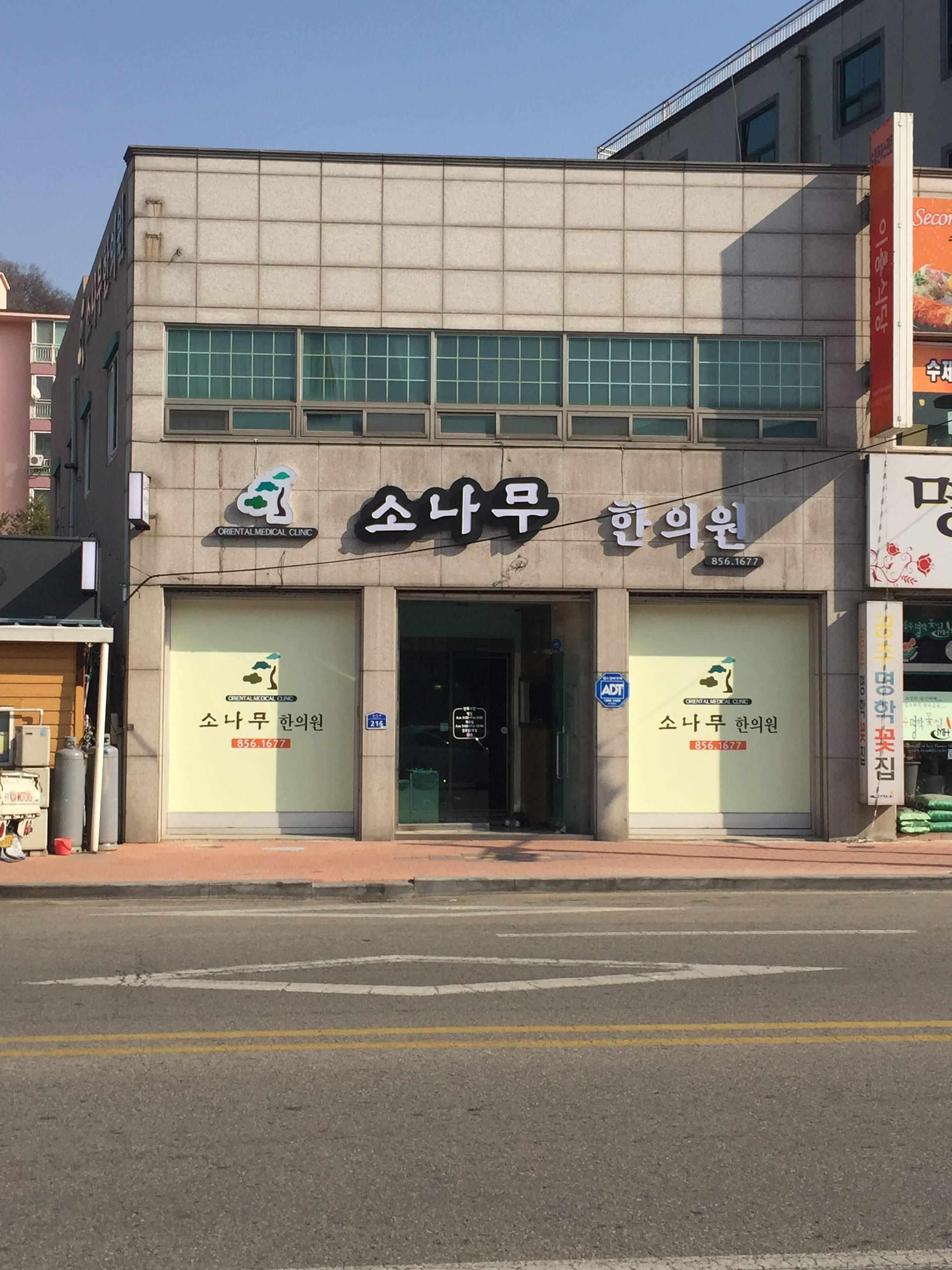 소나무한의원