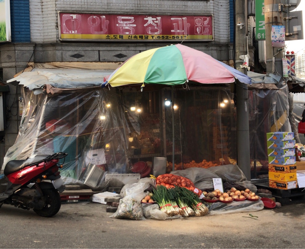 안동청과