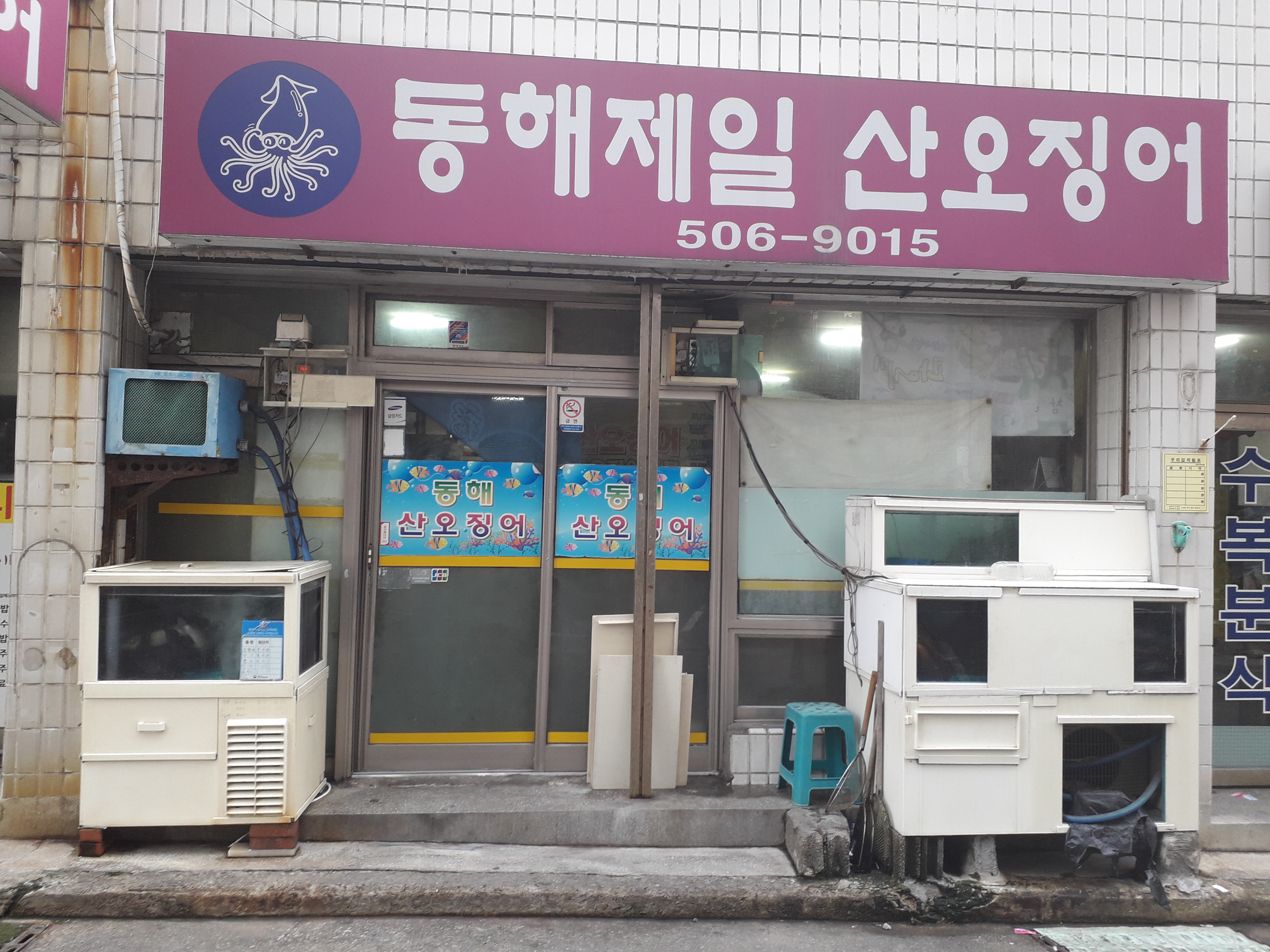동해제일산오징어