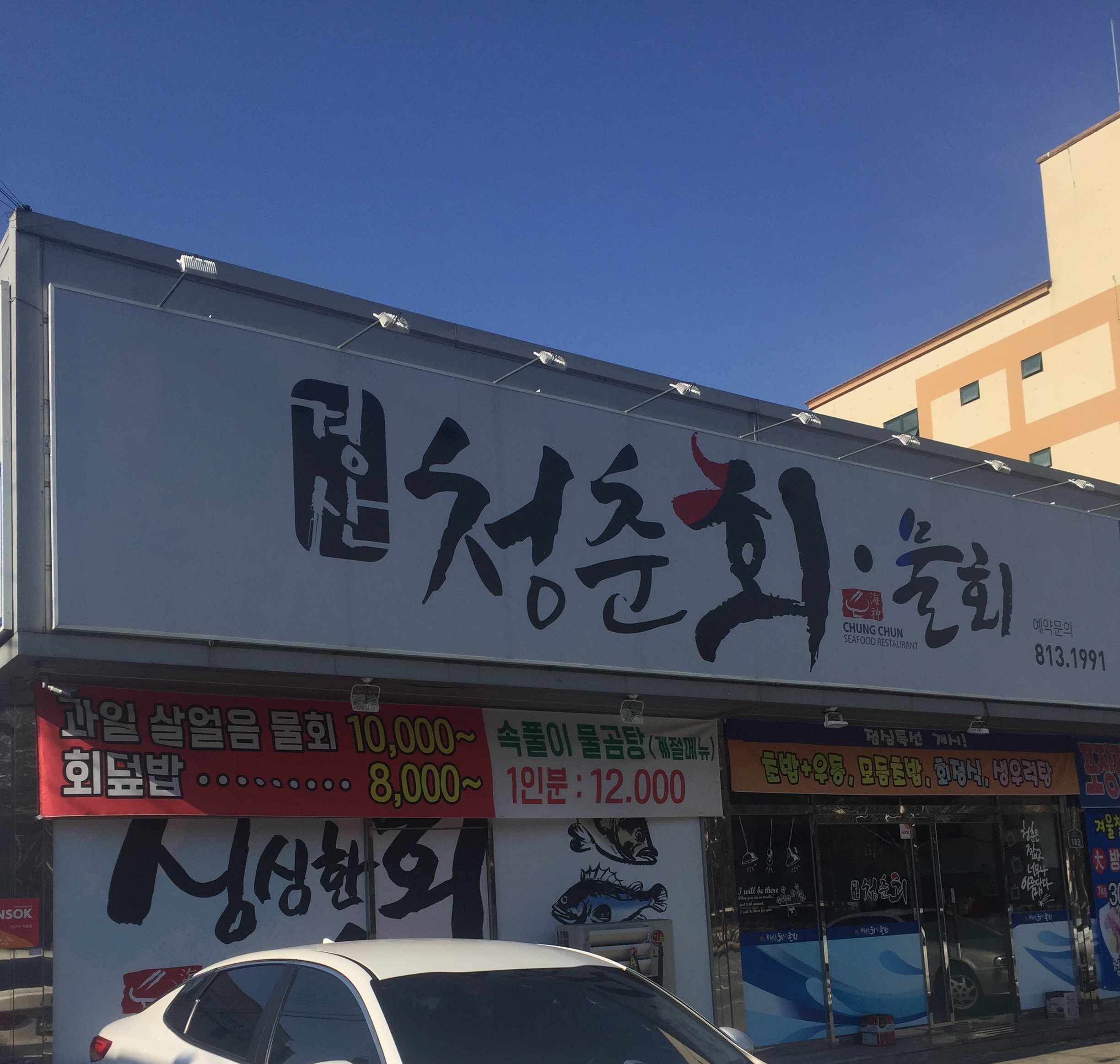 청춘회물회