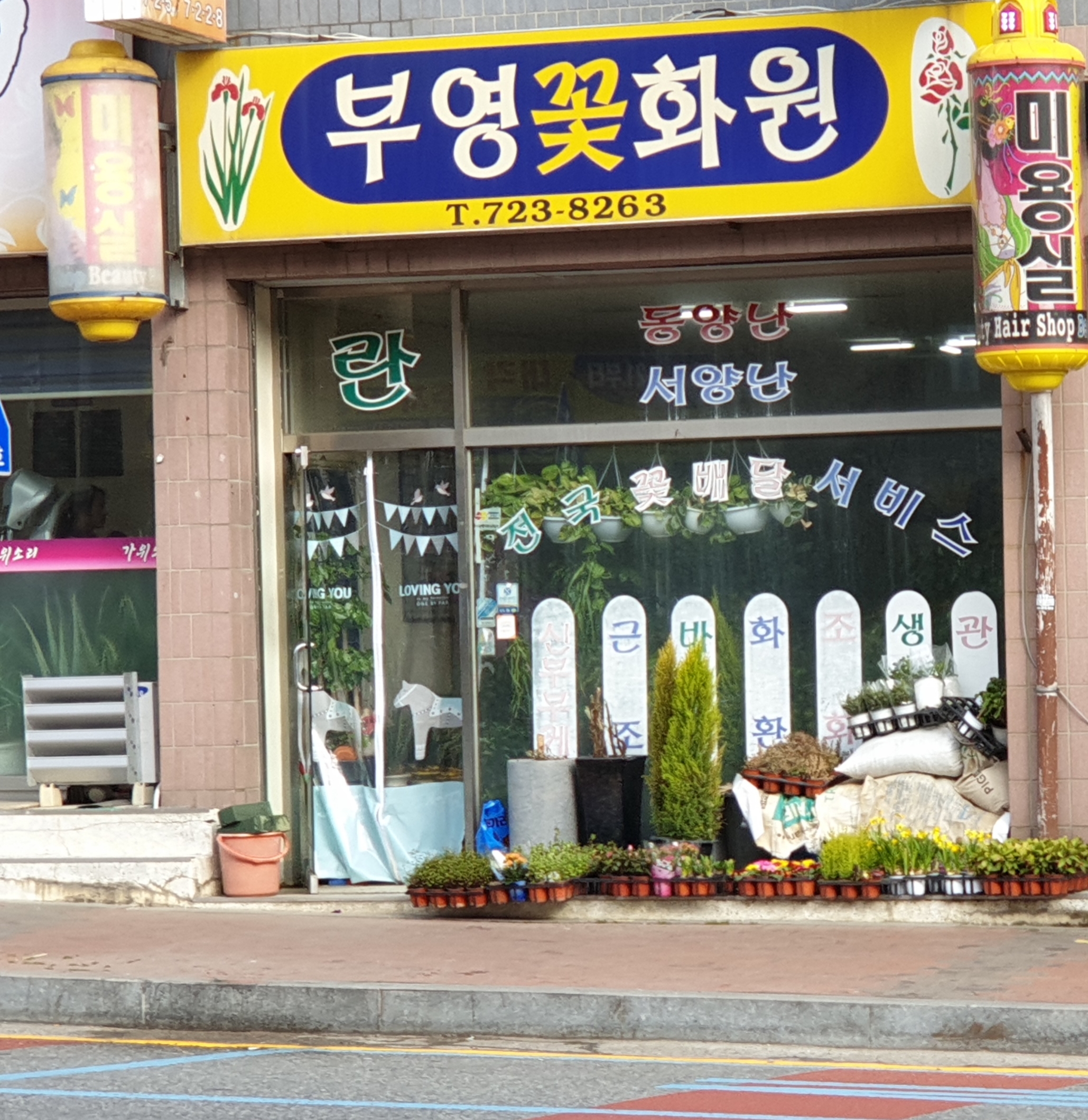 부영꽃화원