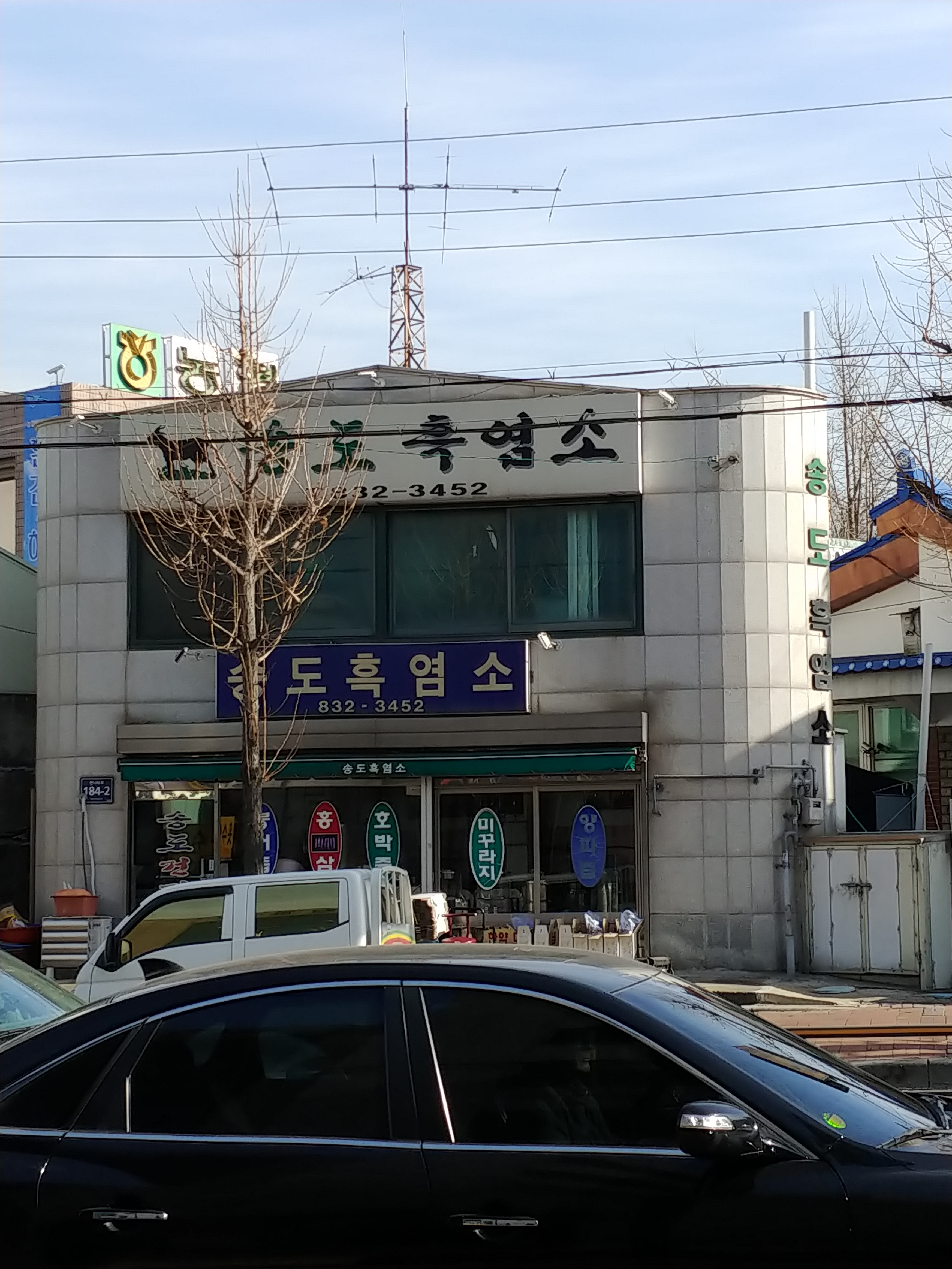 송도흑염소