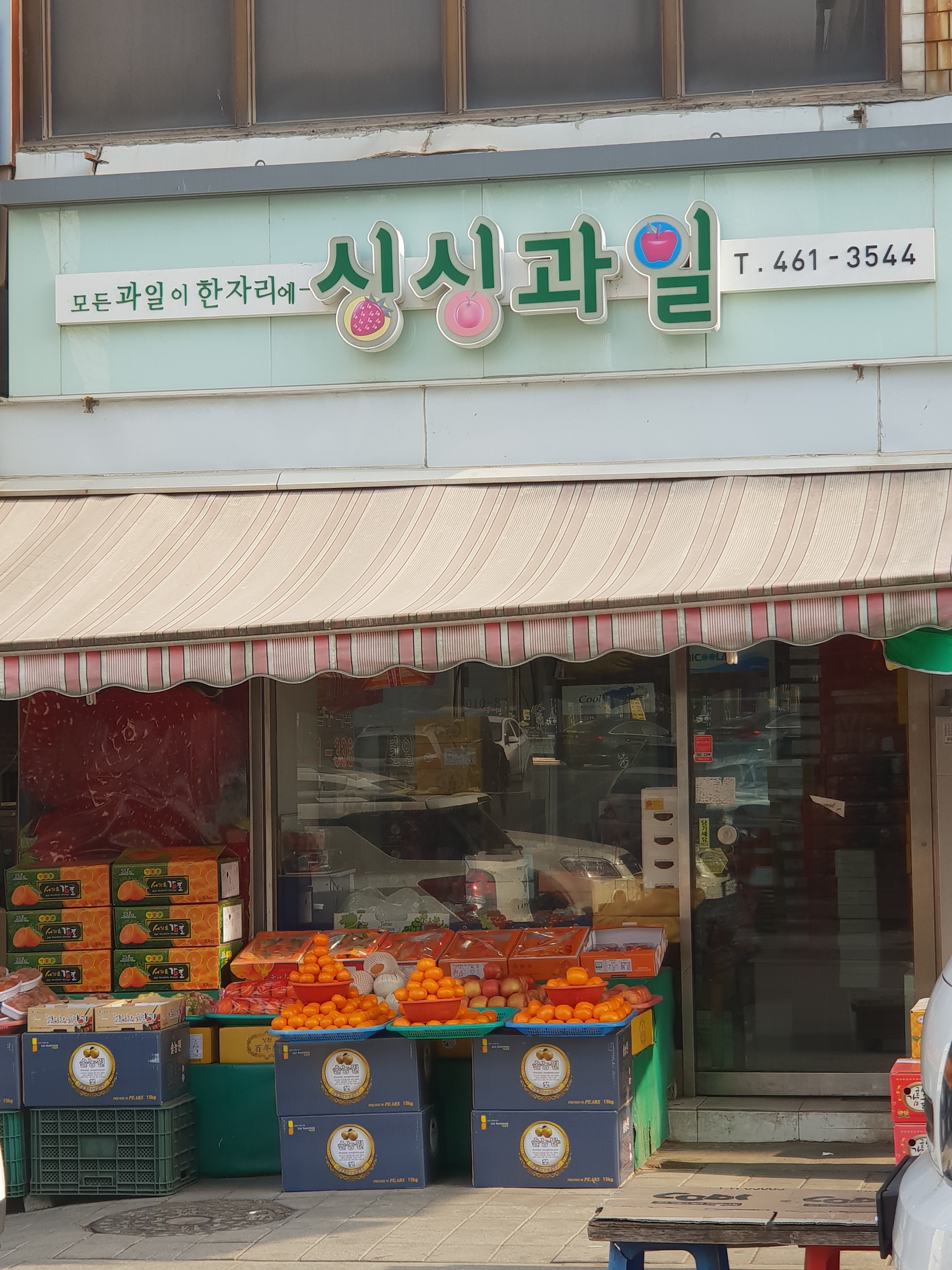 싱싱과일