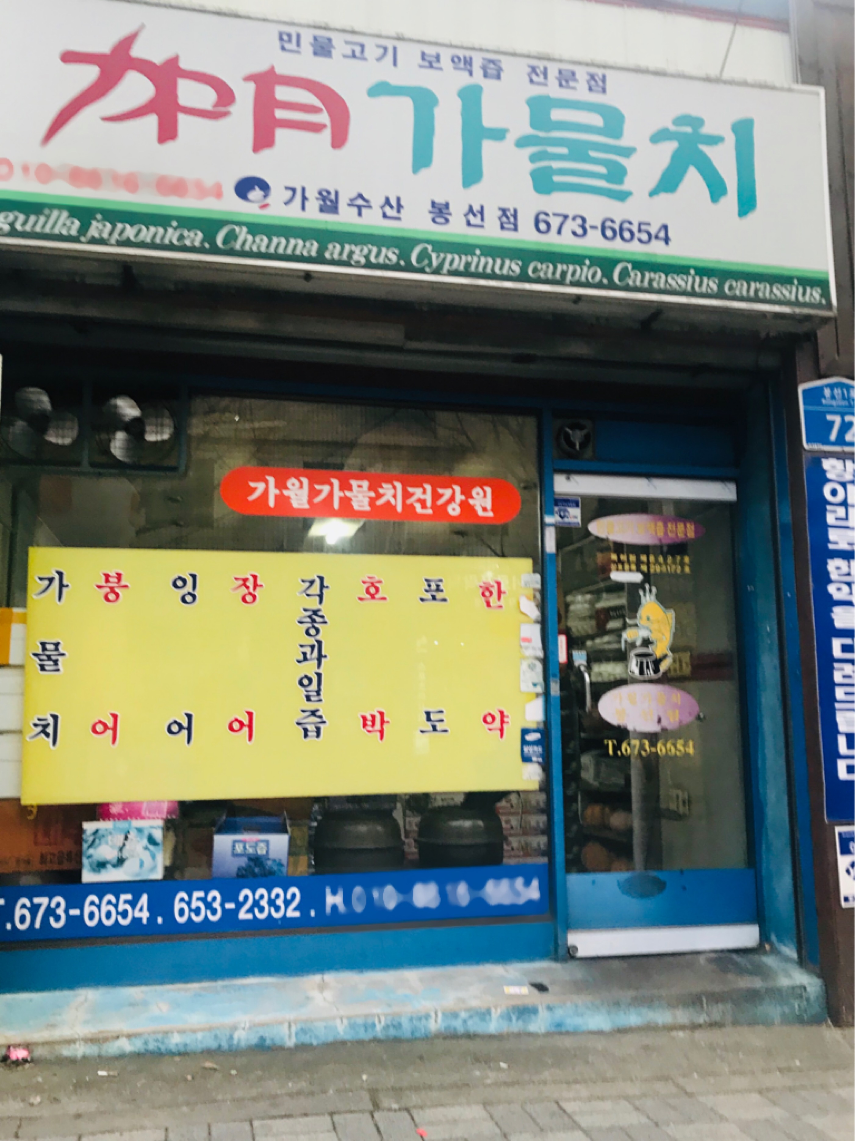 가월가물치 봉선점