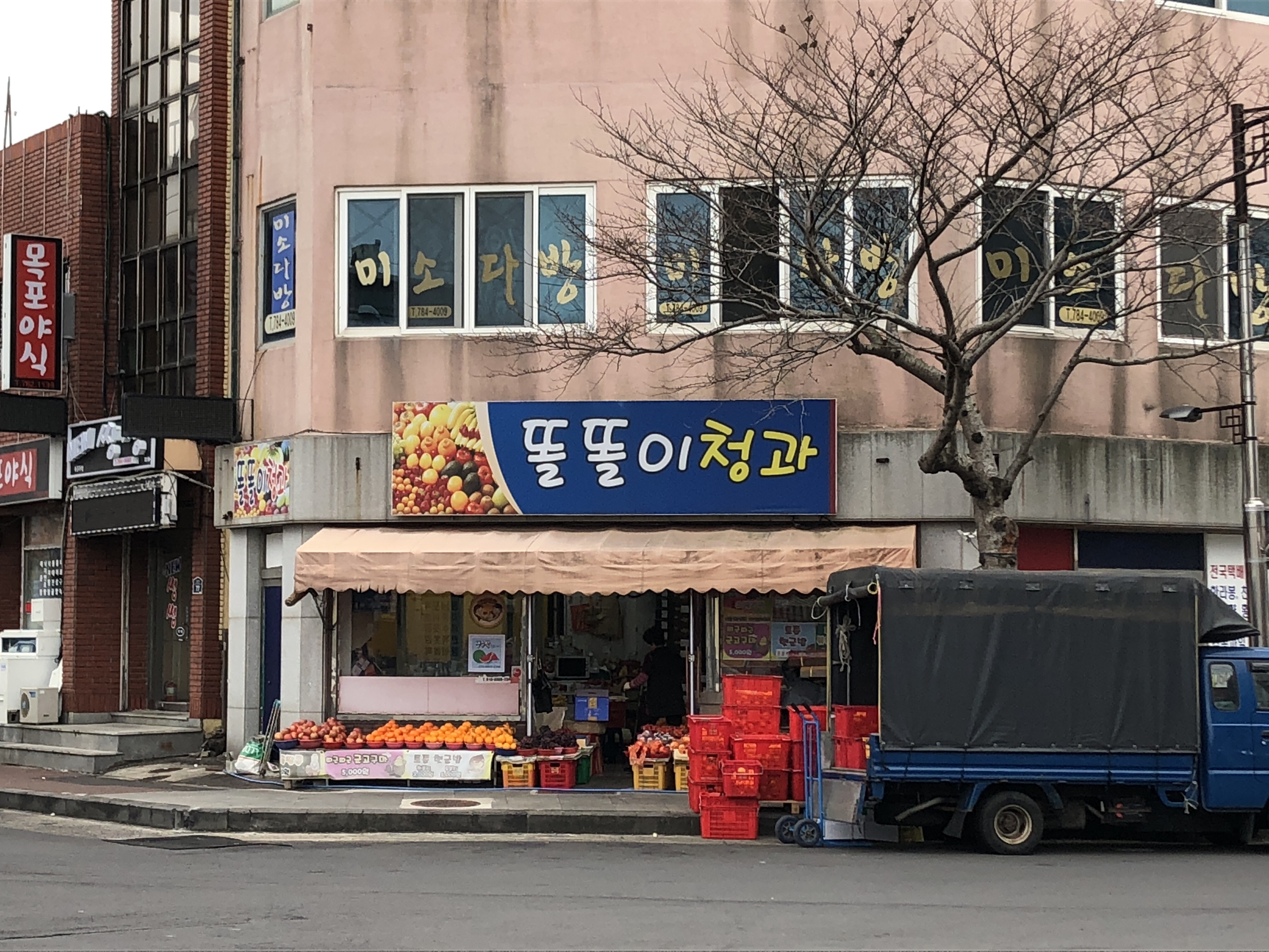 똘똘이청과
