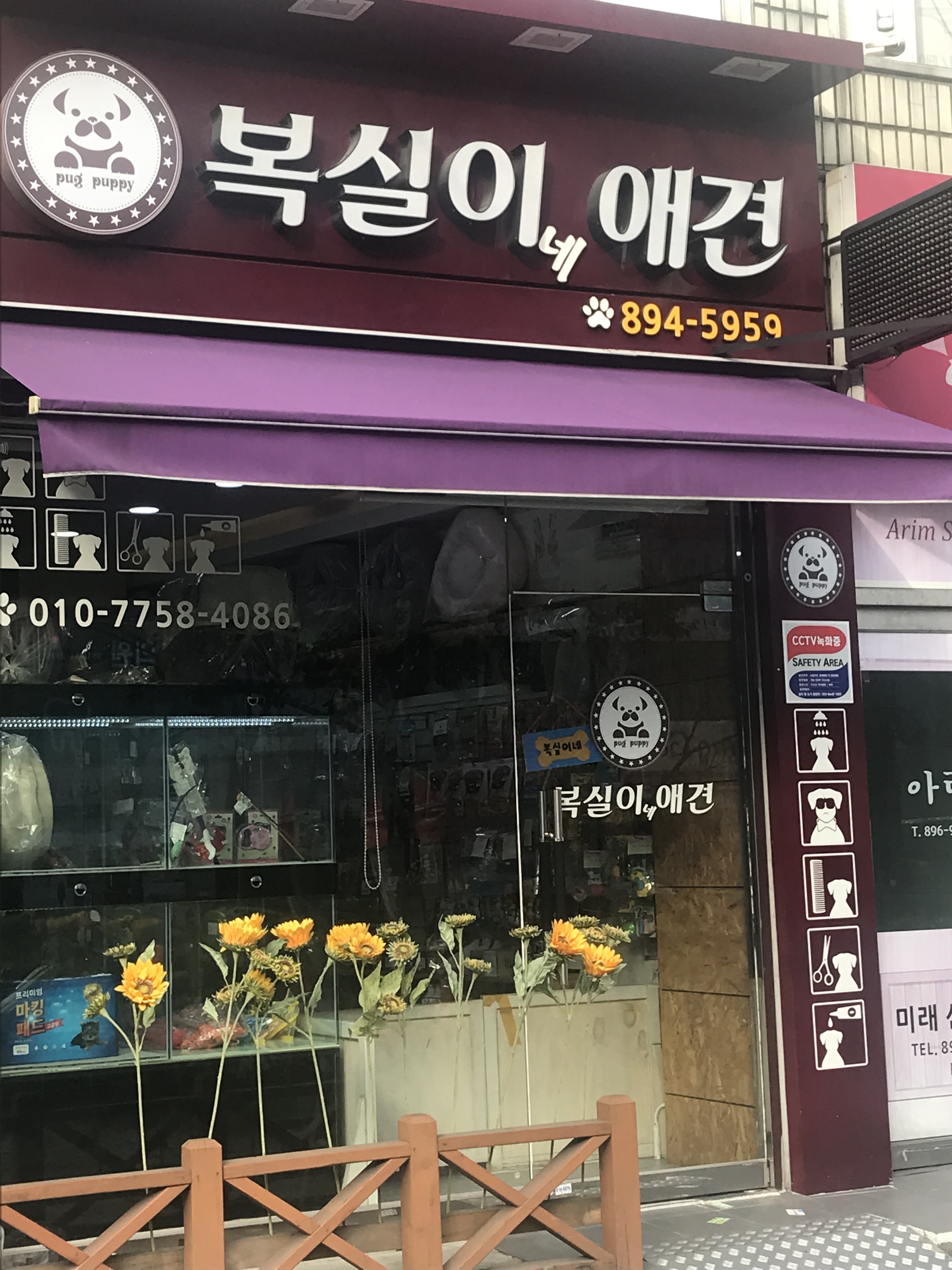 복실이네애견