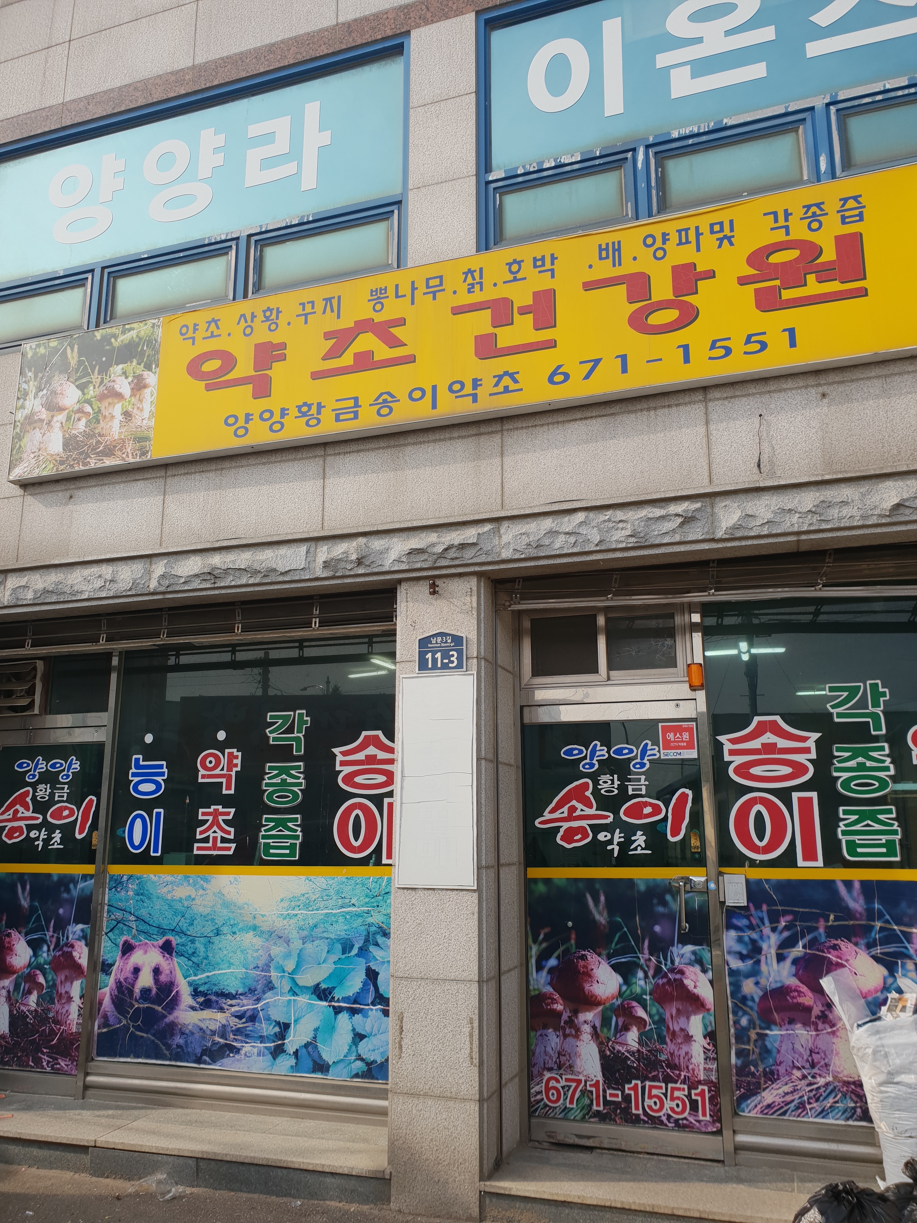 약초건강원
