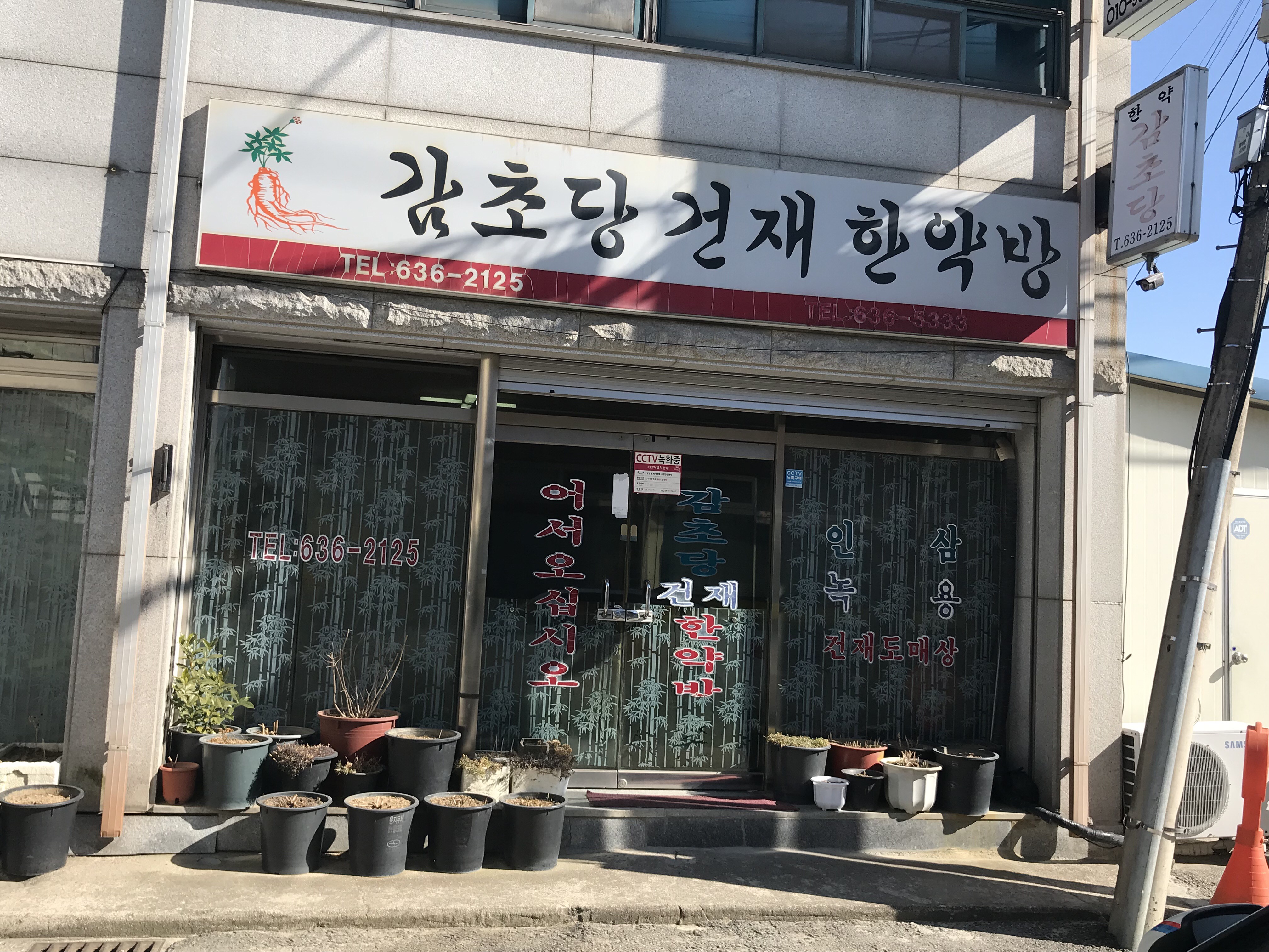 감초당한약방