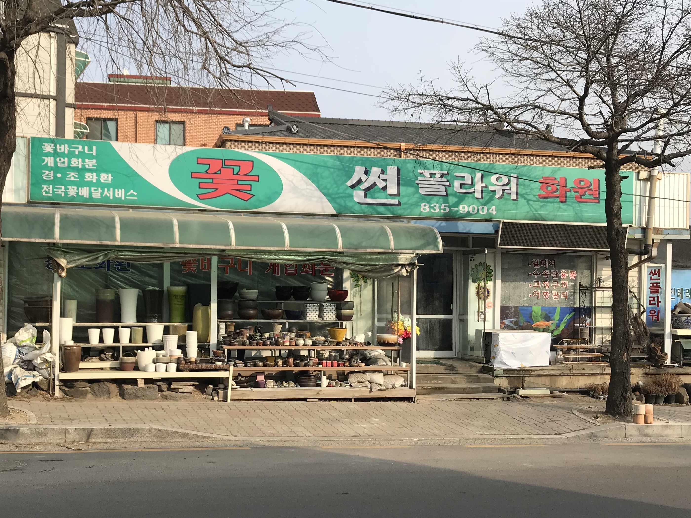 썬플라워화원