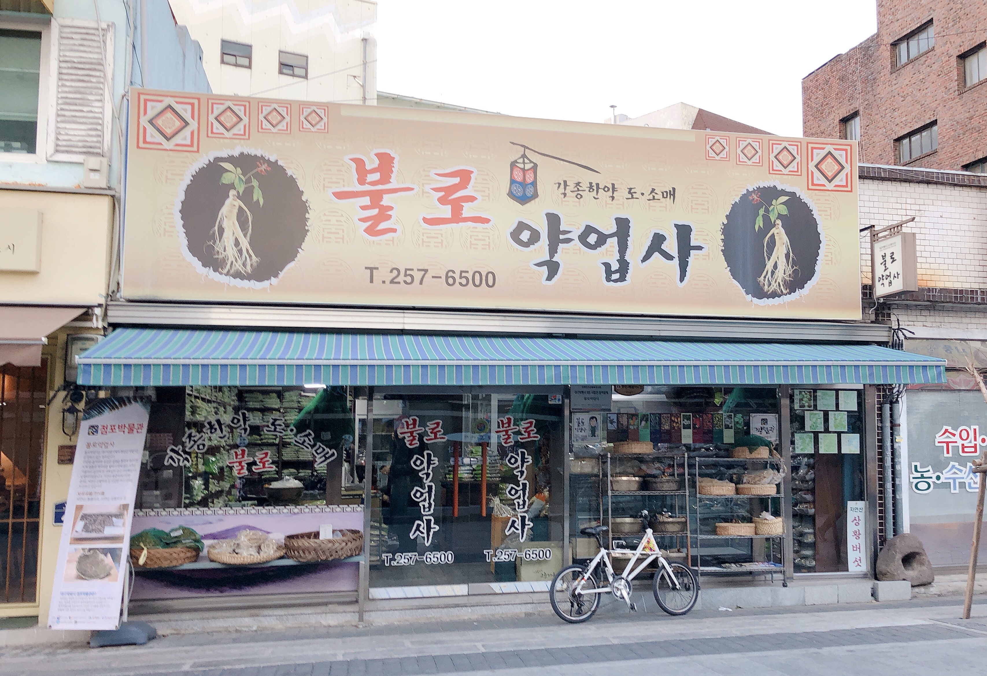불로당약업사