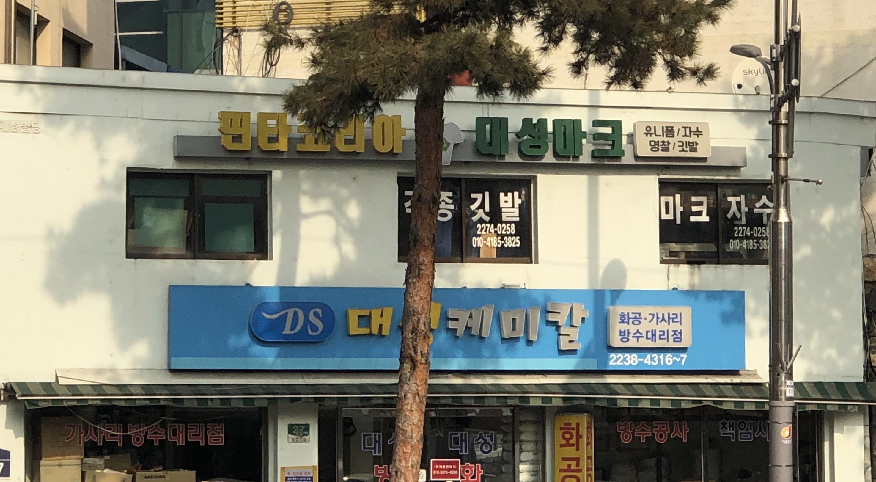 대성마크