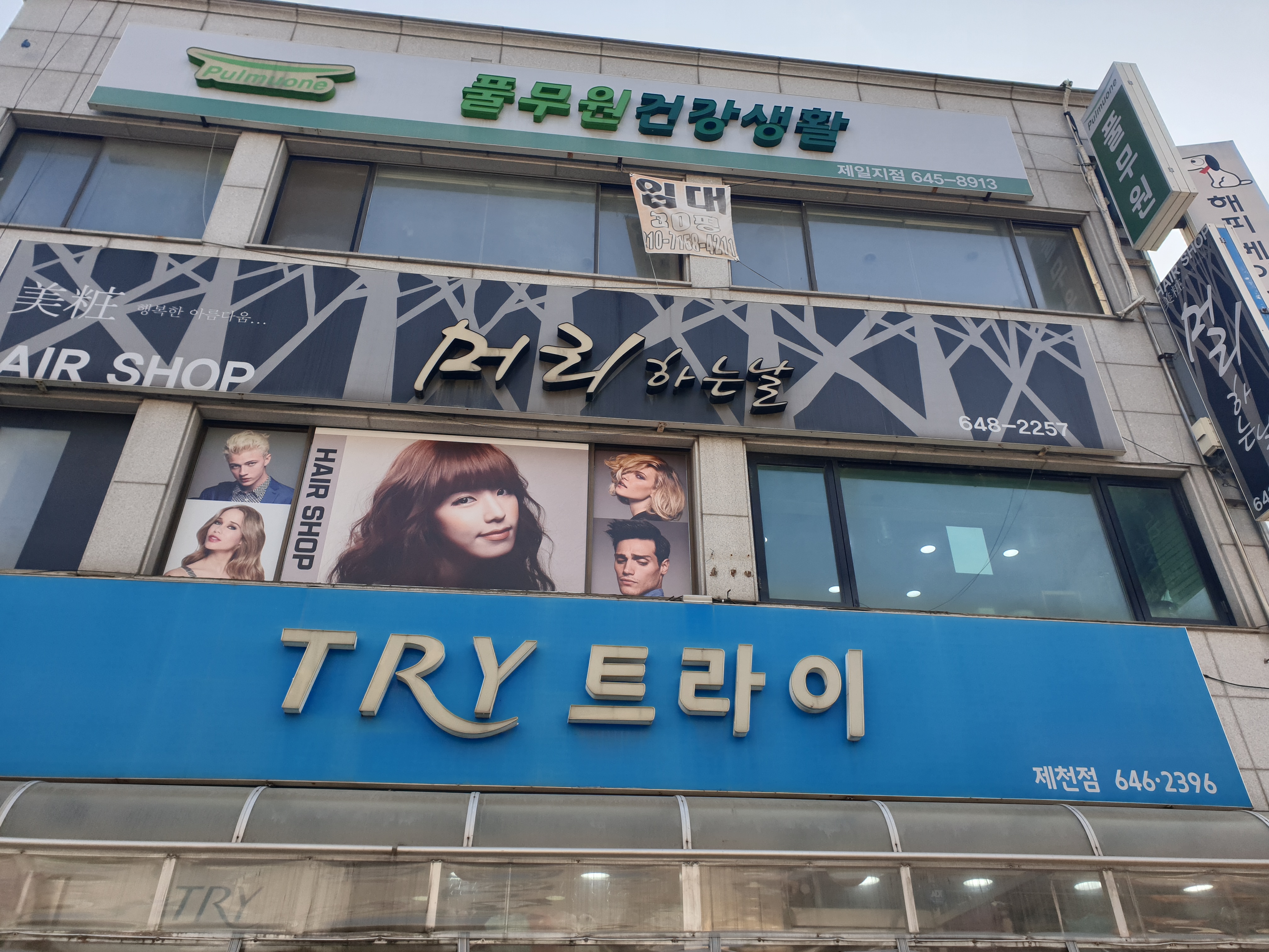 머리하는날