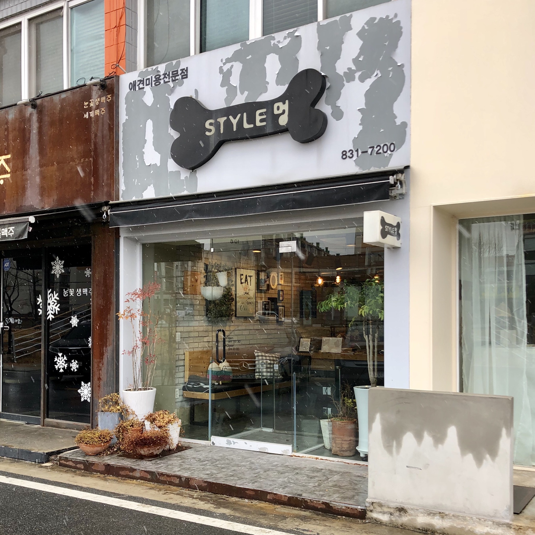 STYLE멍 대표 이미지